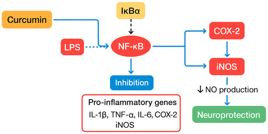 moo Gearing towards the sustainable energy transformation