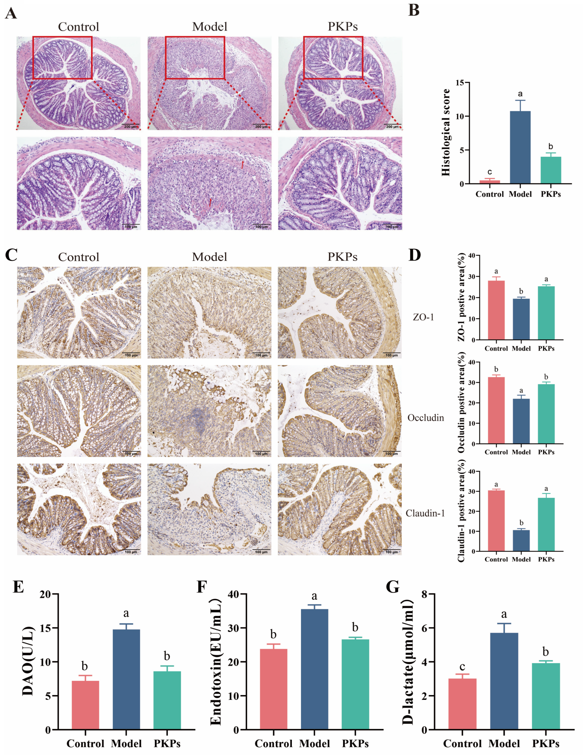Nutrients 17 02895 g003