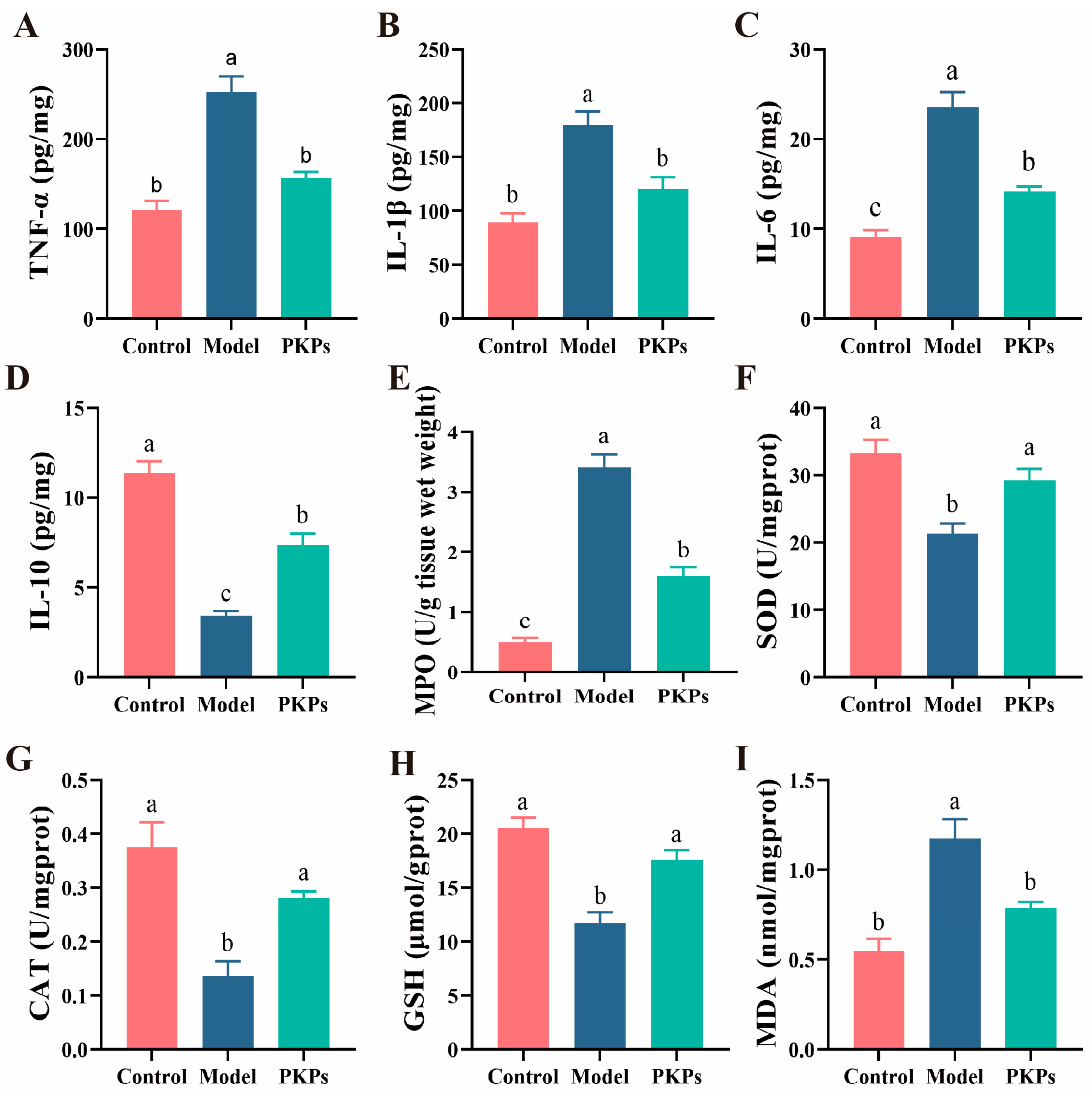 Nutrients 17 02895 g004