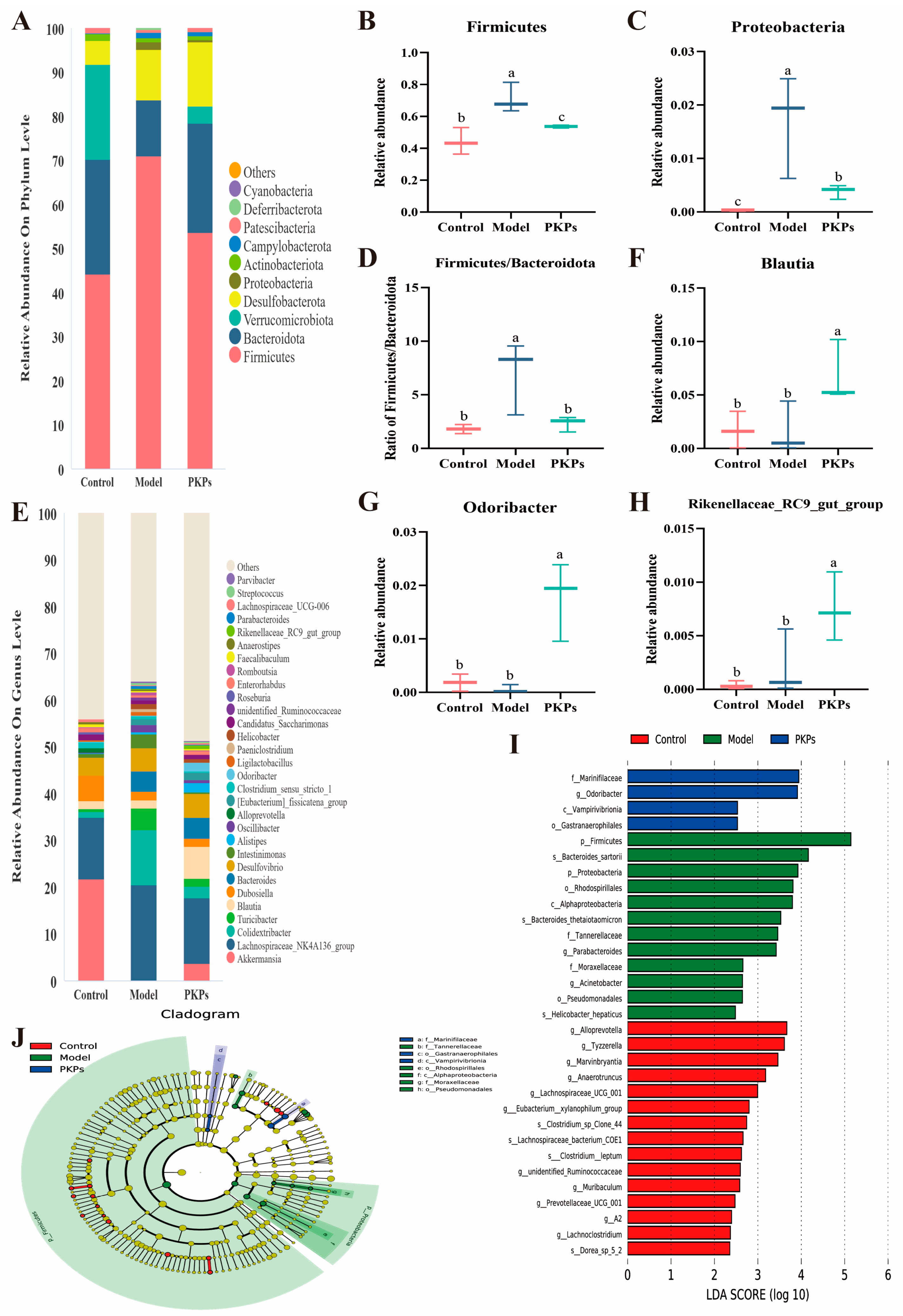Nutrients 17 02895 g007