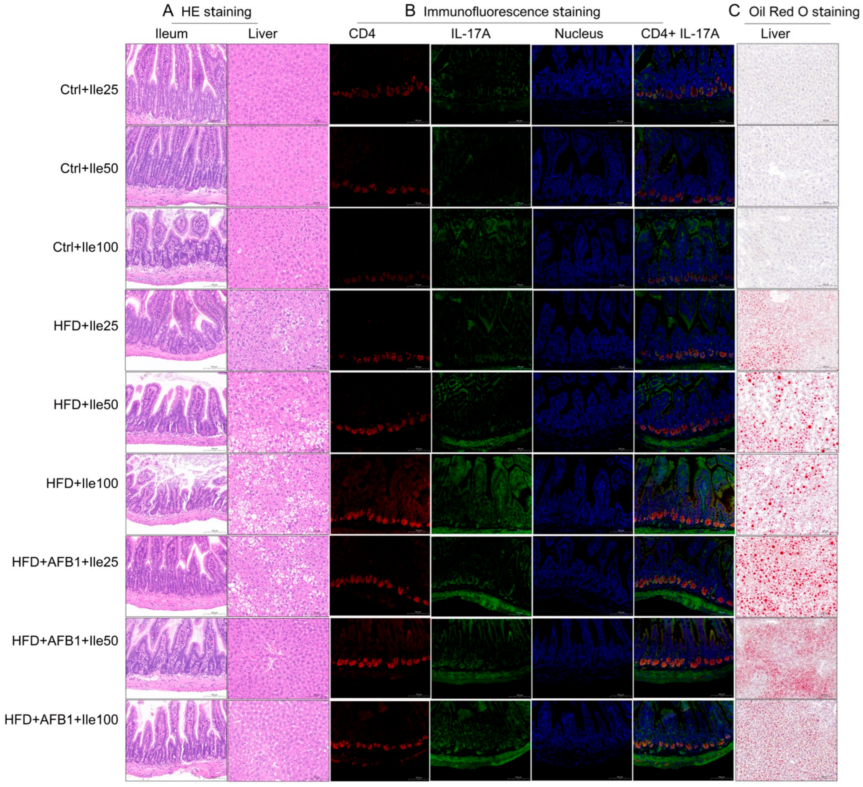 Nutrients 17 02897 g009