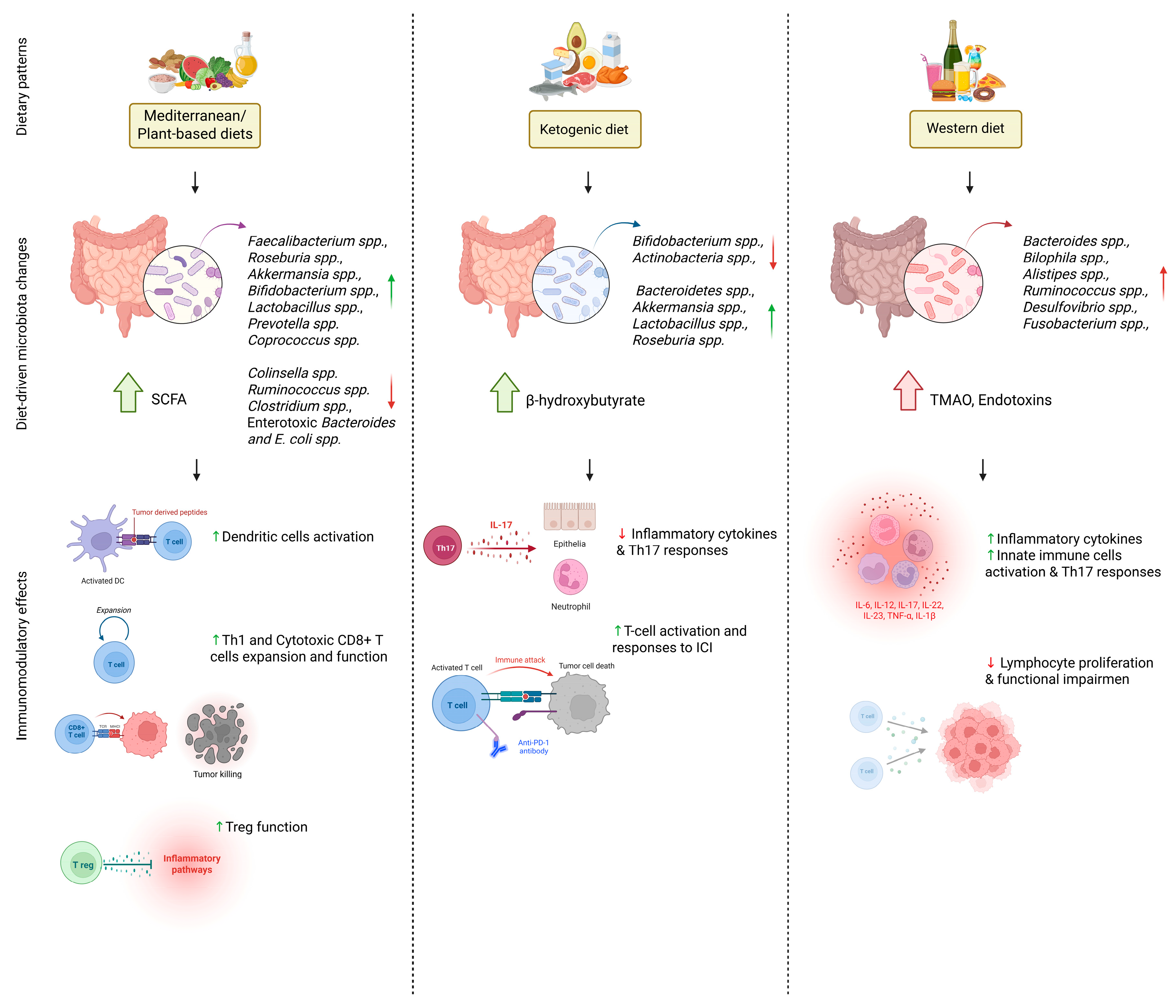 Nutrients 17 02898 g001