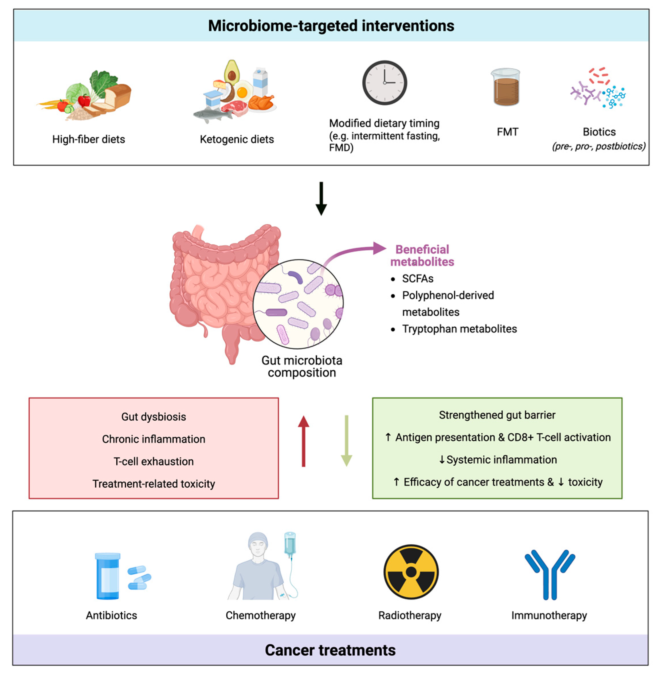 Nutrients 17 02898 g003