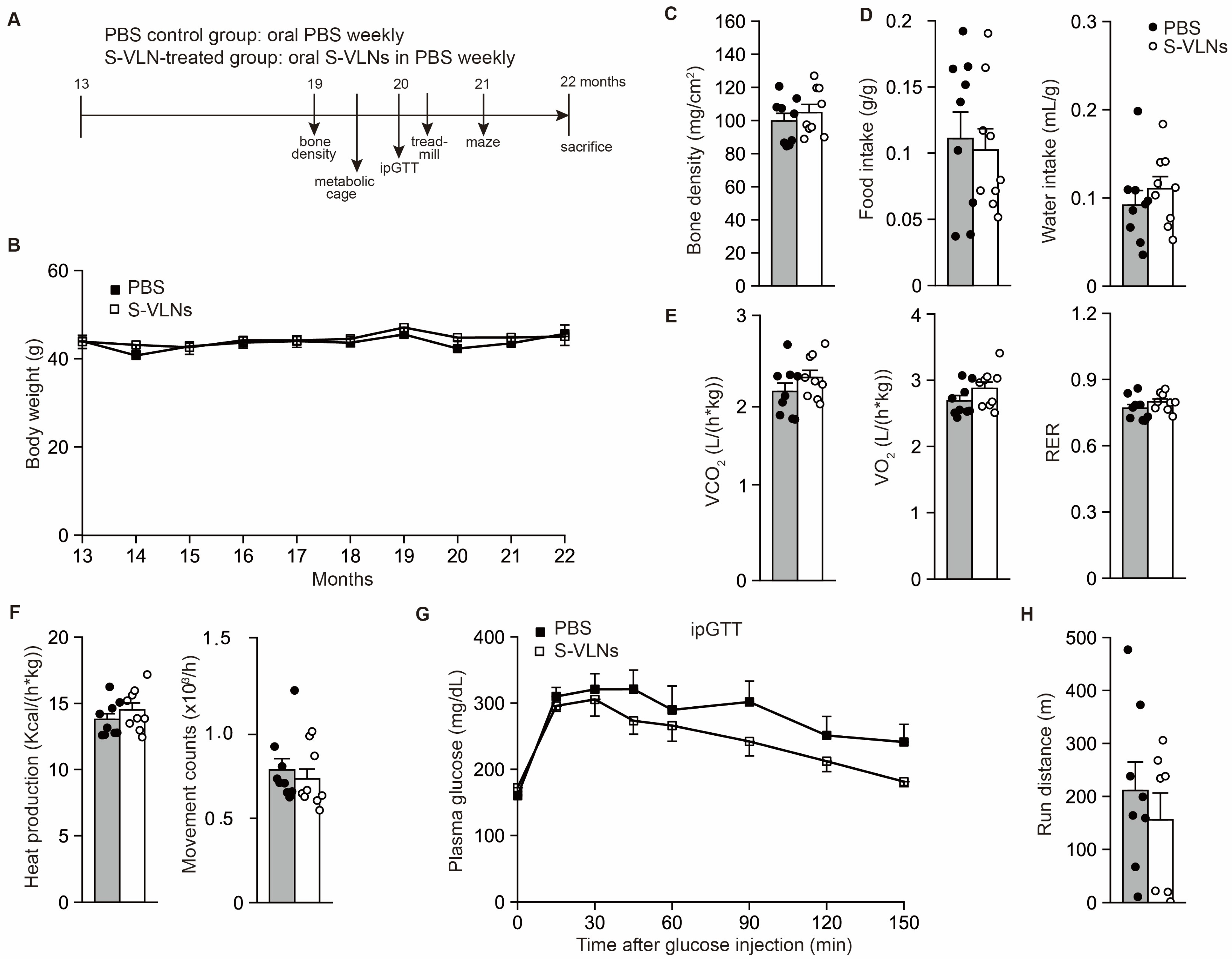 Nutrients 17 02902 g002 Nutrients 17 02902 g002