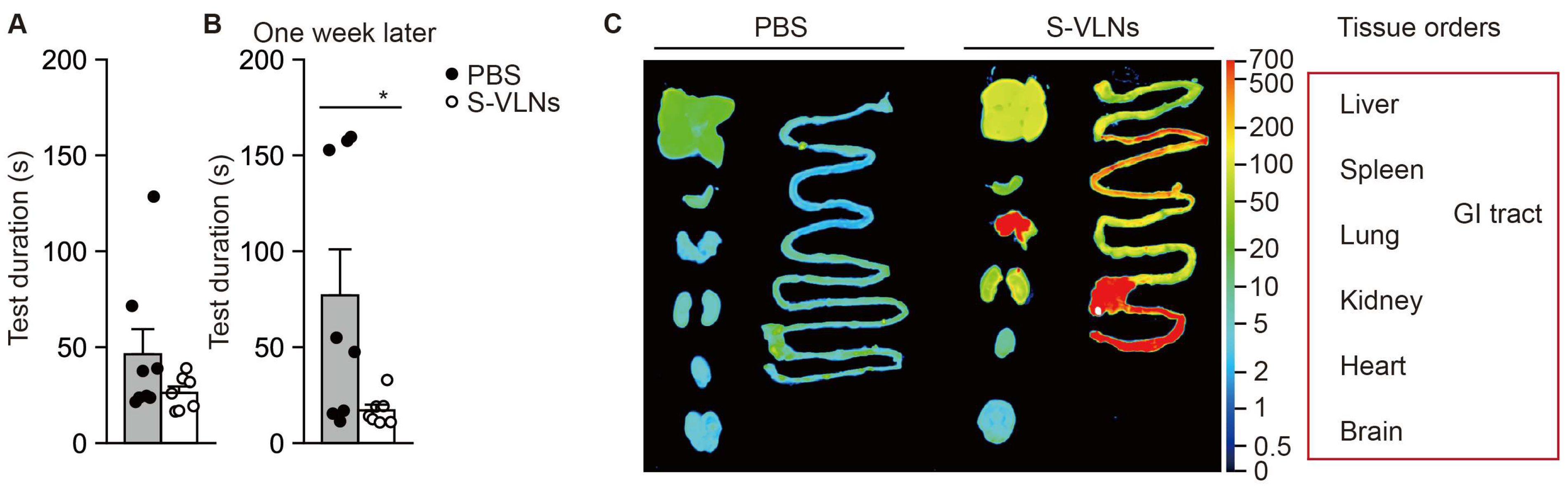 Nutrients 17 02902 g003 Nutrients 17 02902 g003
