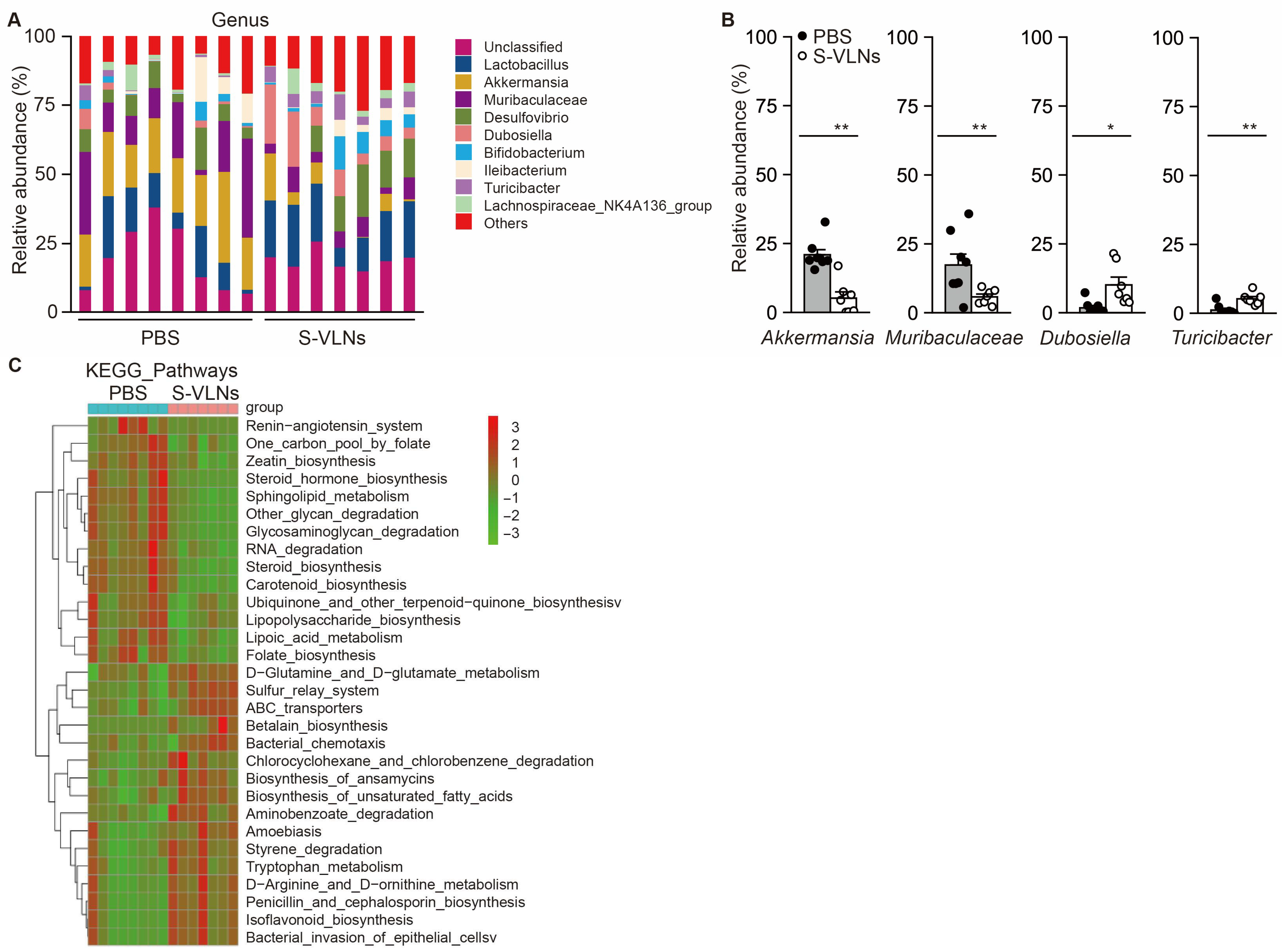 Nutrients 17 02902 g005 Nutrients 17 02902 g005