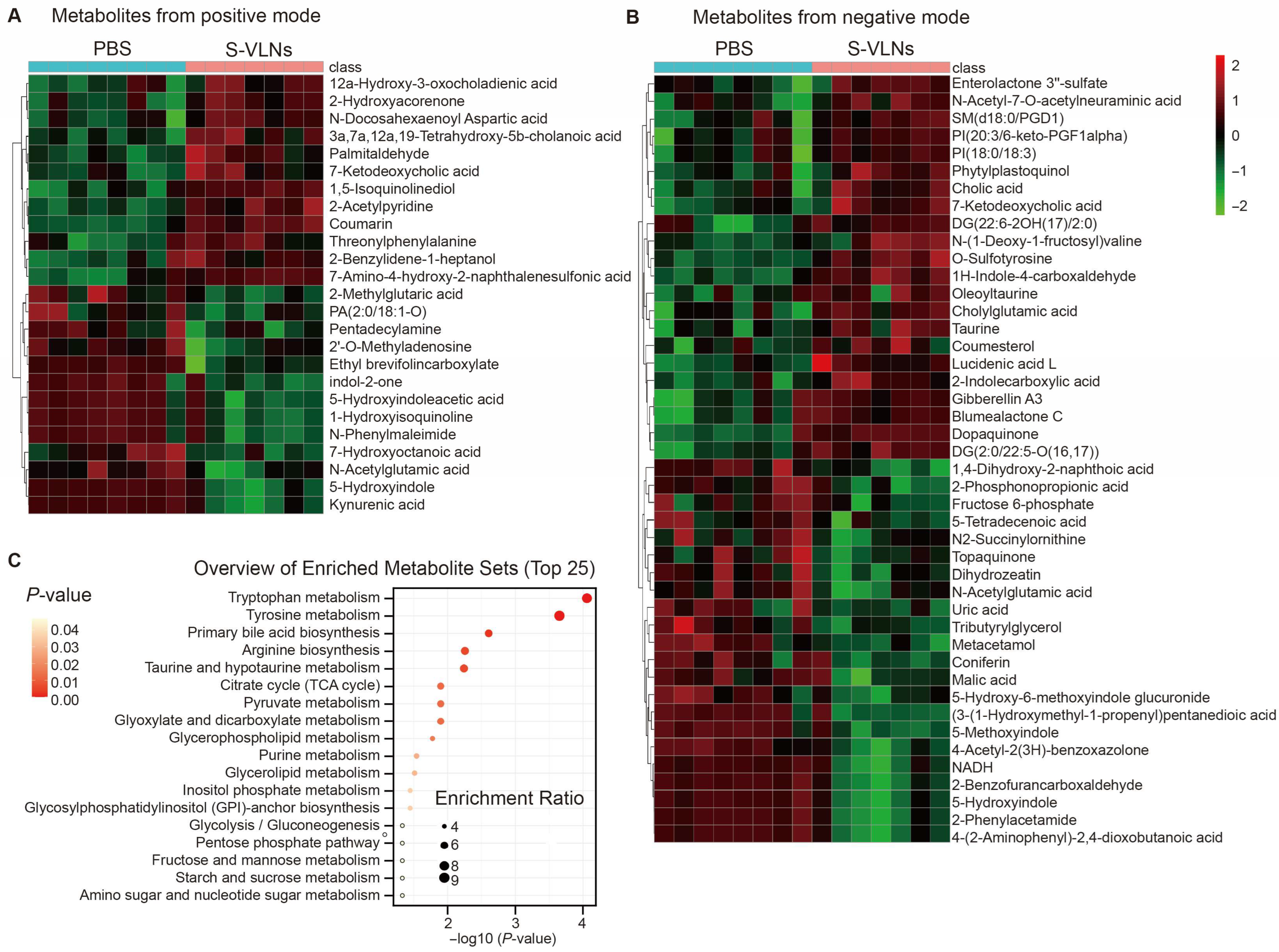 Nutrients 17 02902 g007 Nutrients 17 02902 g007