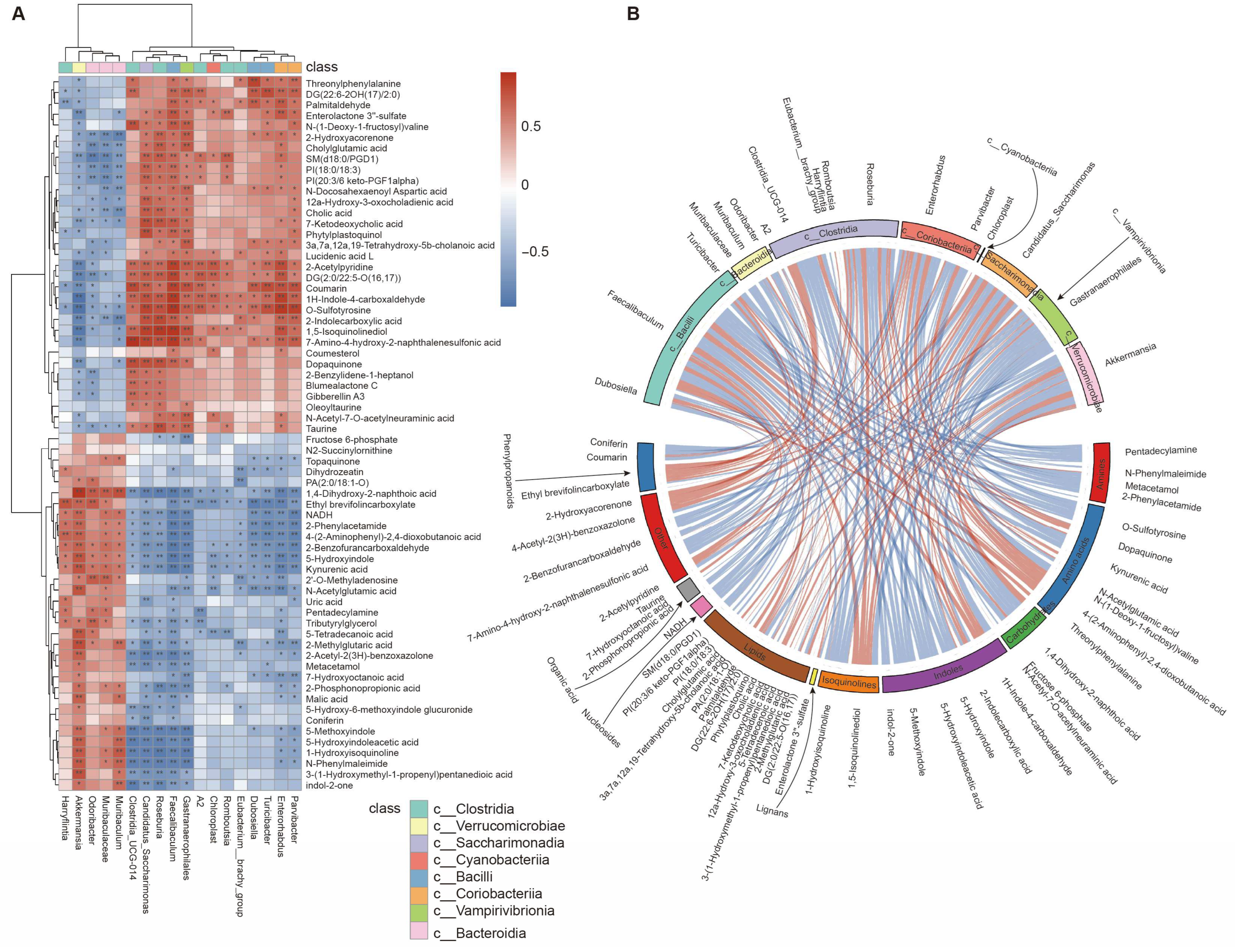 Nutrients 17 02902 g008 Nutrients 17 02902 g008
