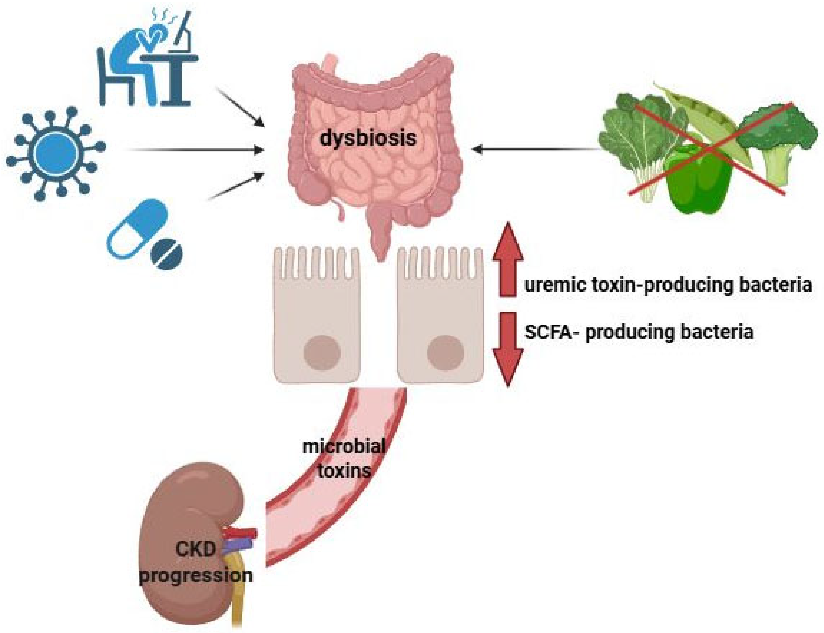 Nutrients 17 02904 g001 Nutrients 17 02904 g001