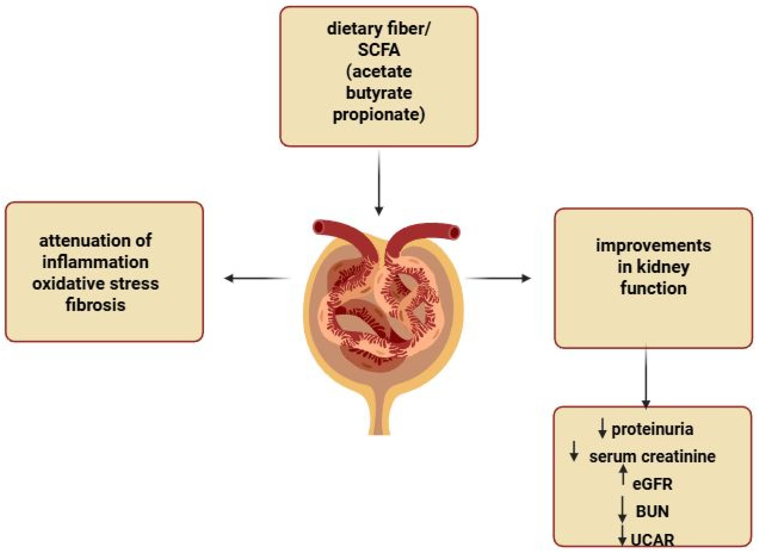 Nutrients 17 02904 g002 Nutrients 17 02904 g002