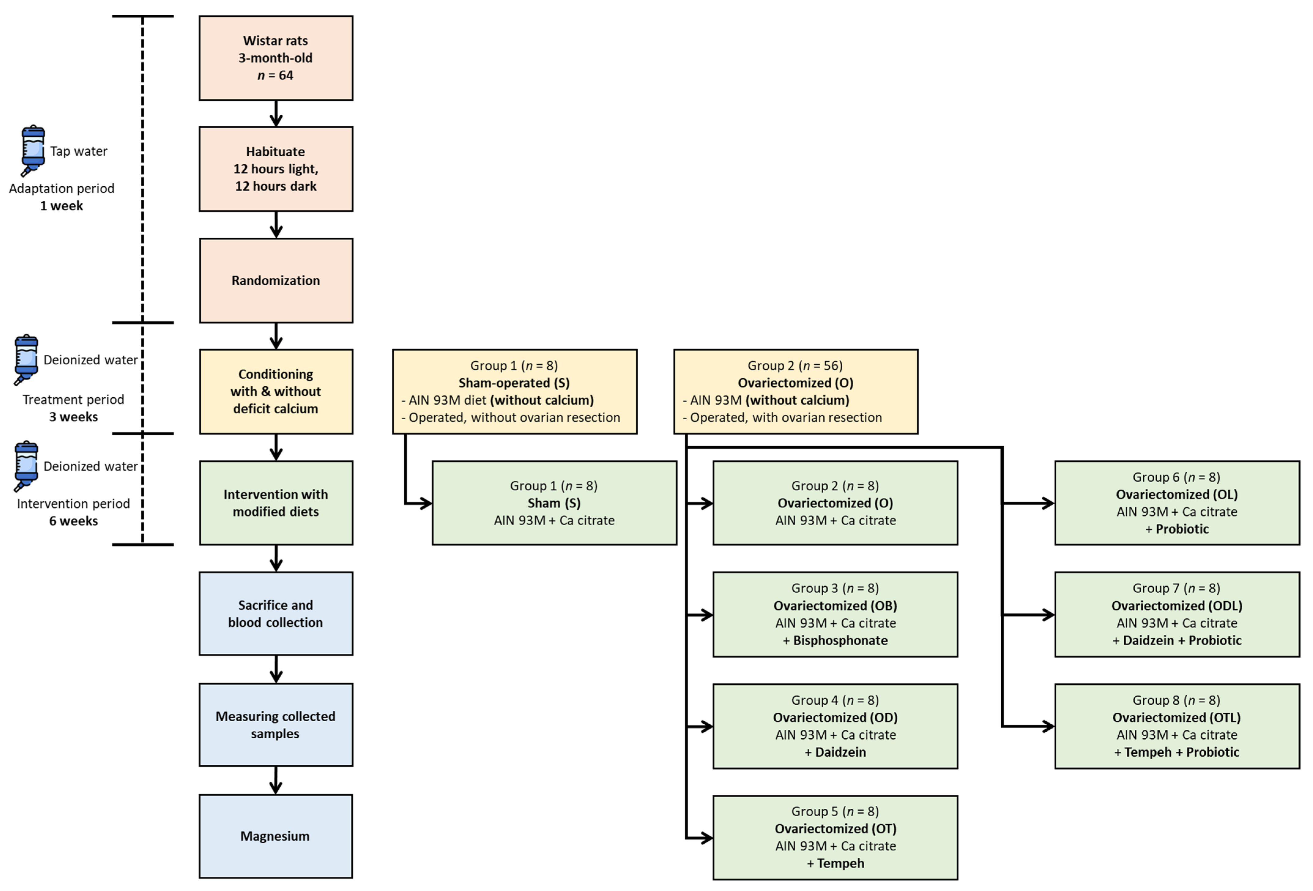 Nutrients 17 02917 g001 Nutrients 17 02917 g001