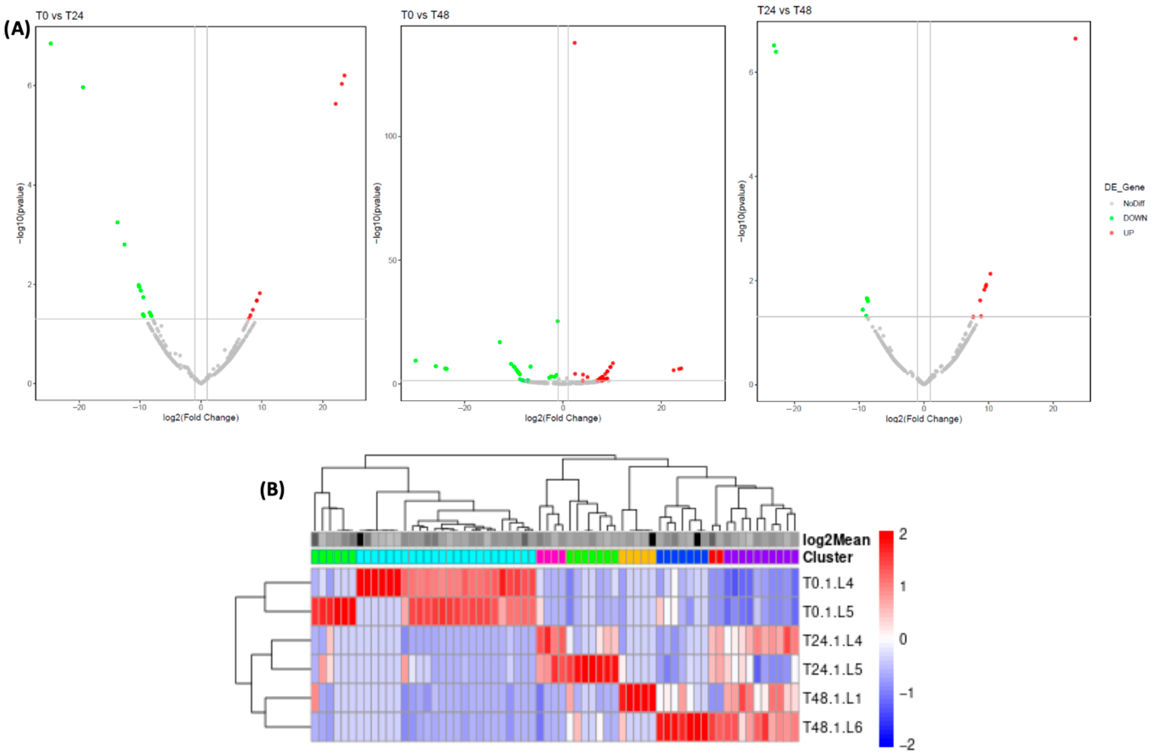 Nutrients 17 02919 g002