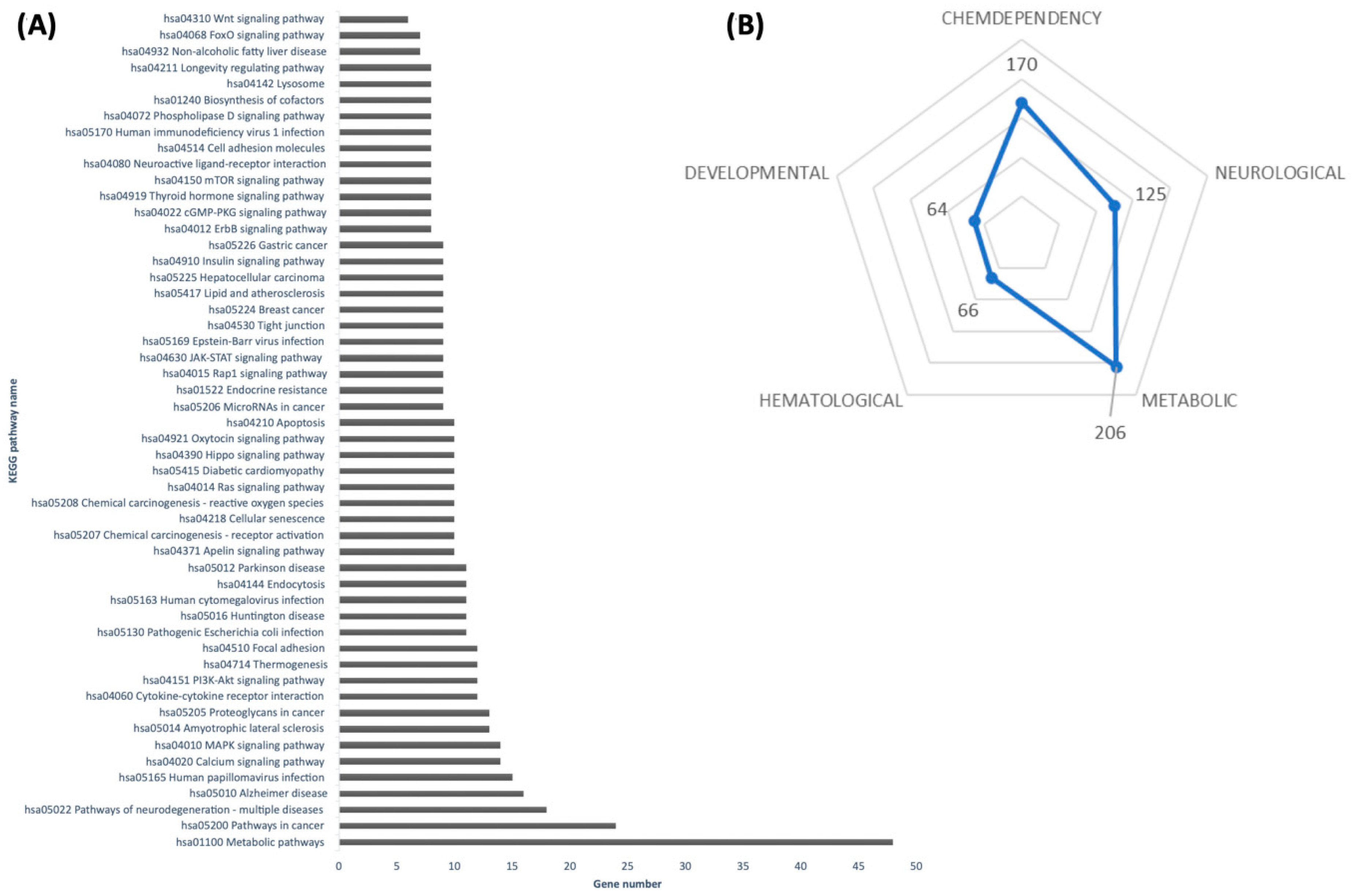 Nutrients 17 02919 g004