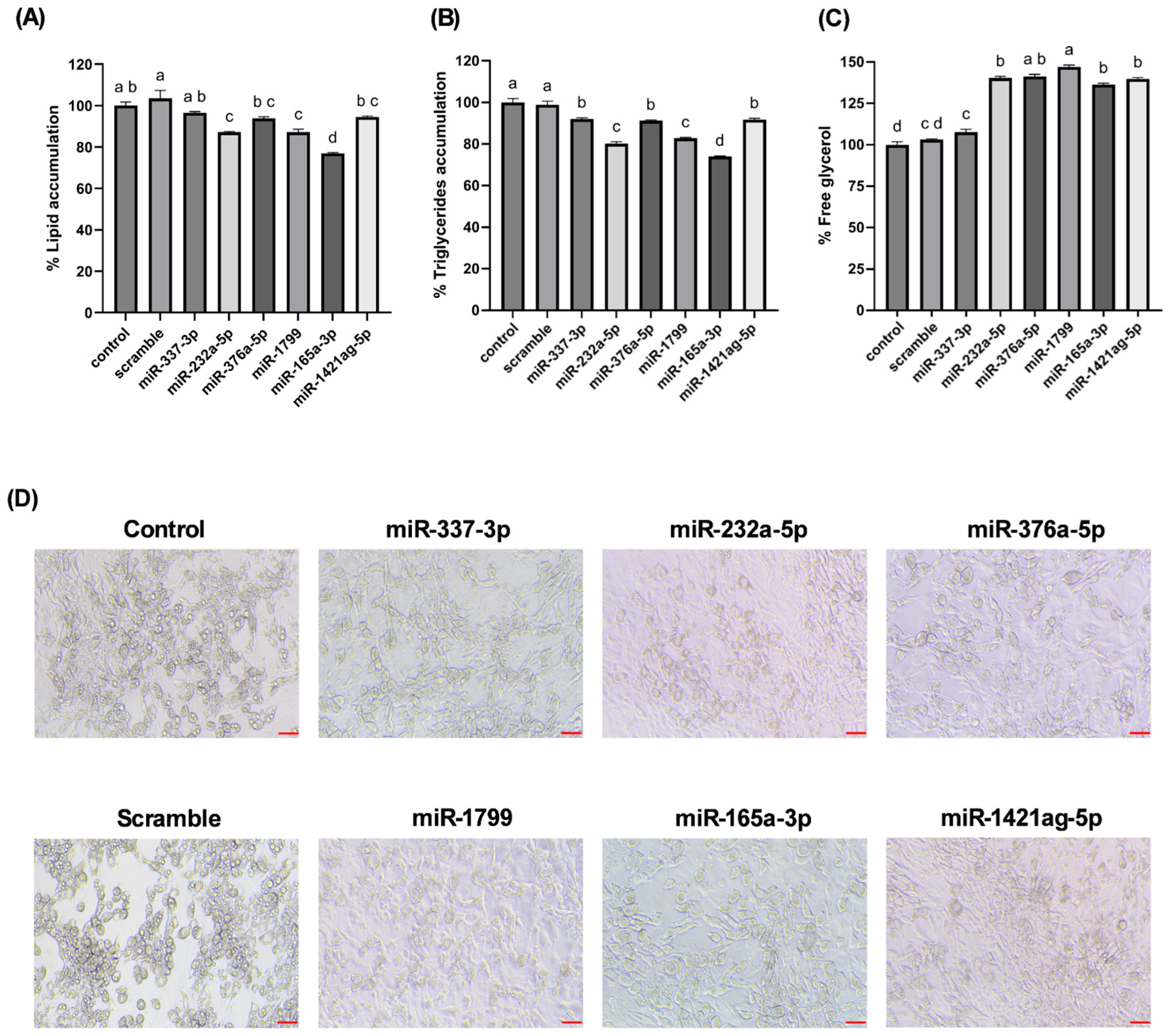 Nutrients 17 02919 g005