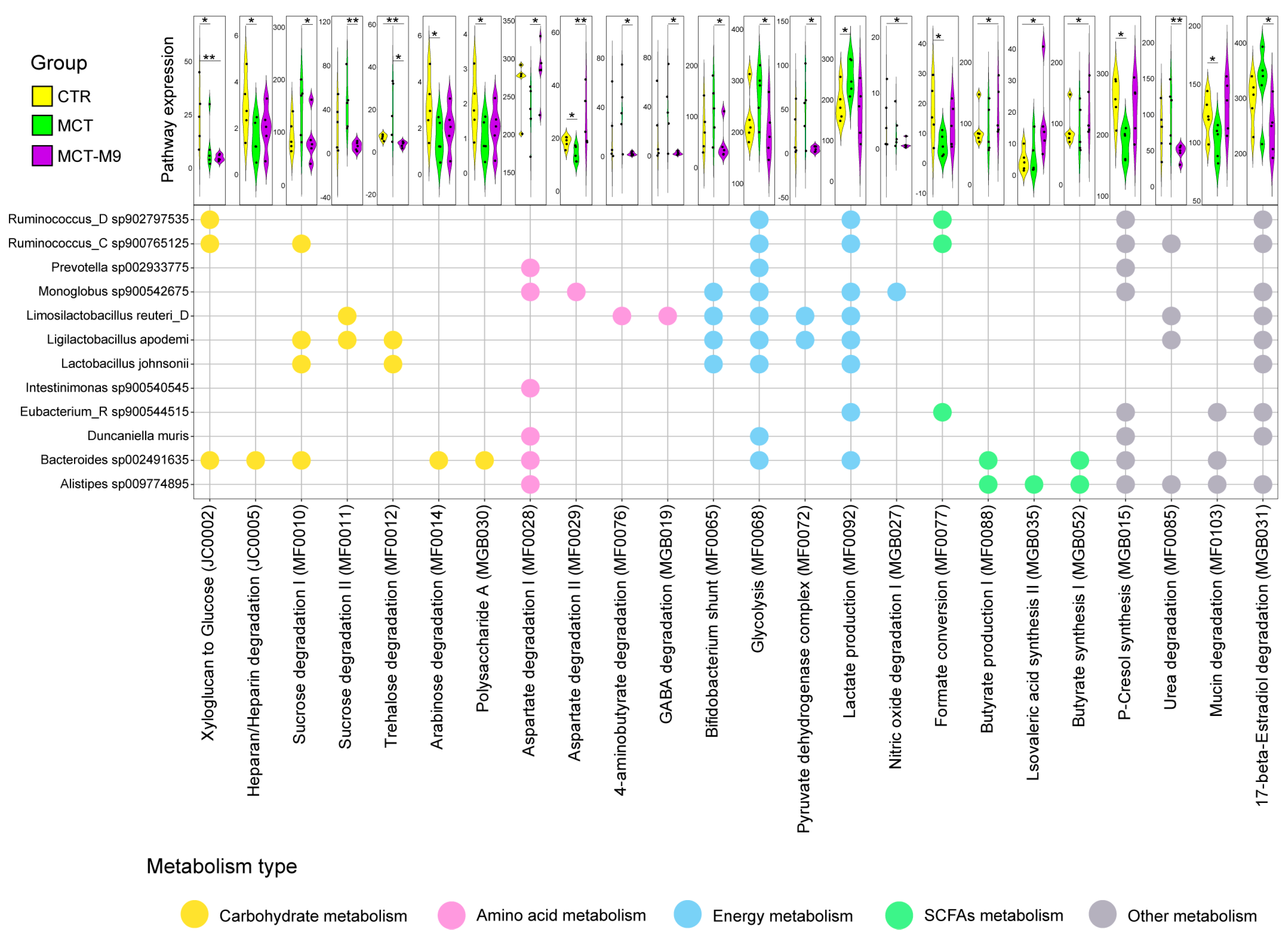 Nutrients 17 02927 g004 Nutrients 17 02927 g004