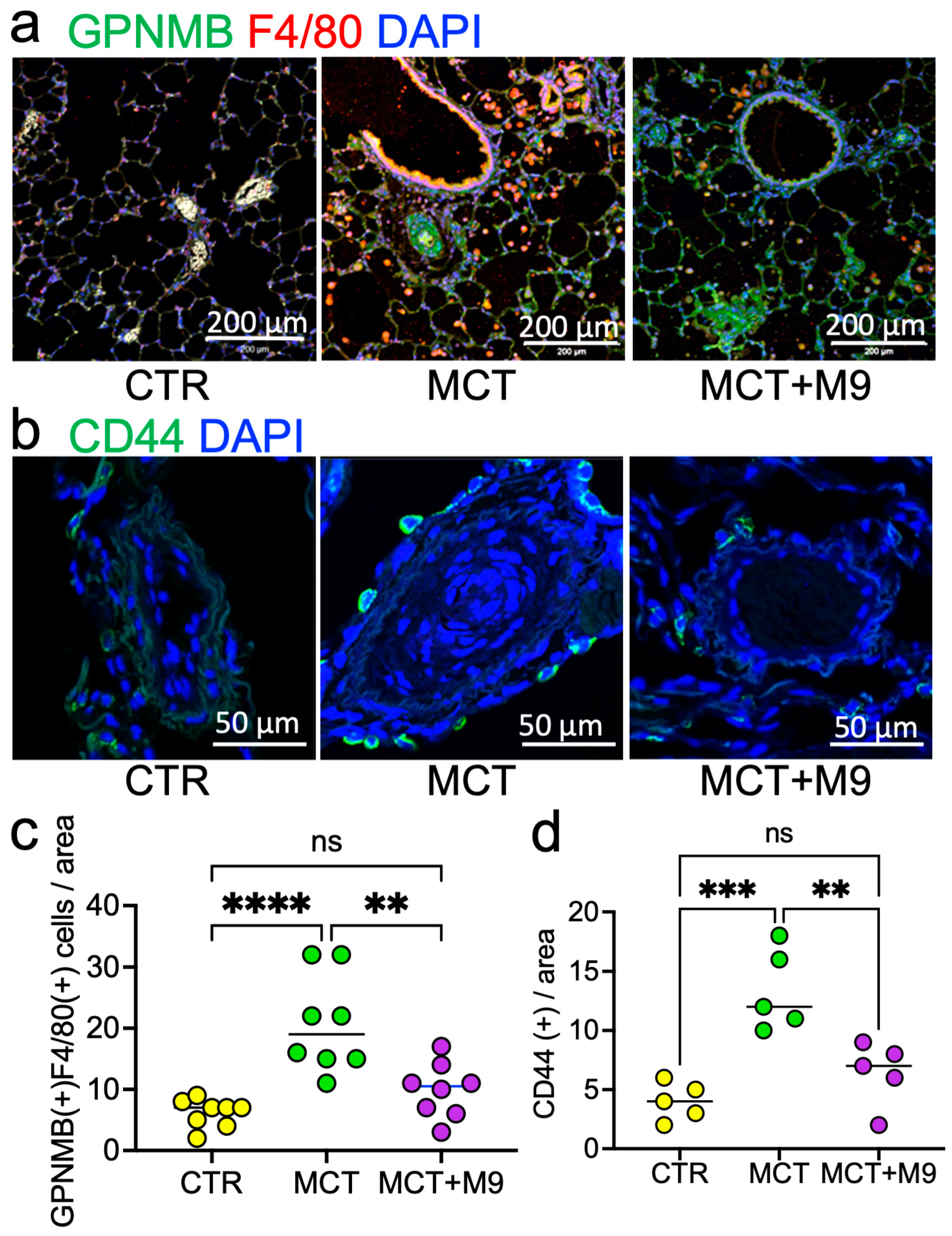 Nutrients 17 02927 g005 Nutrients 17 02927 g005