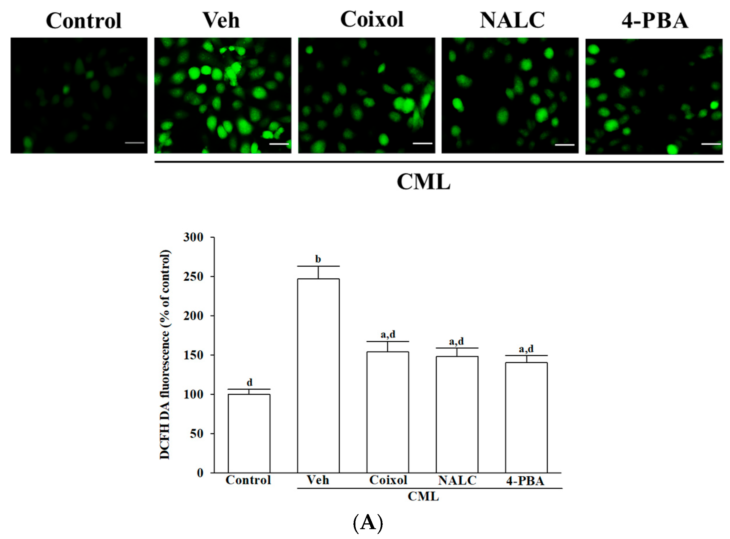 Nutrients 17 02939 g002a