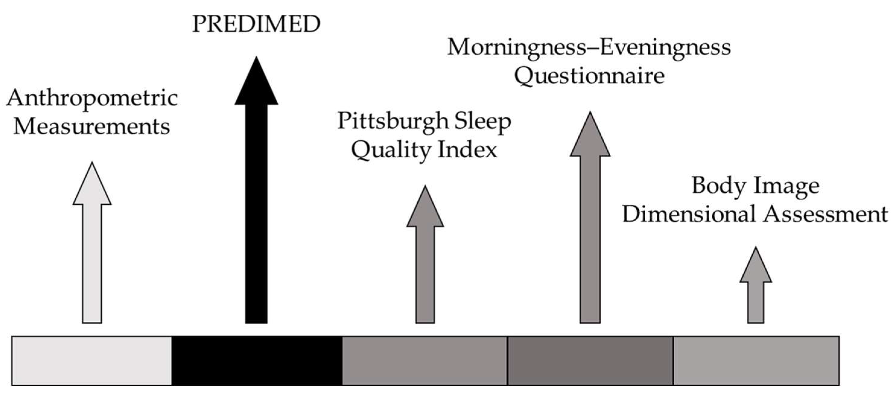 Nutrients 17 02946 g001