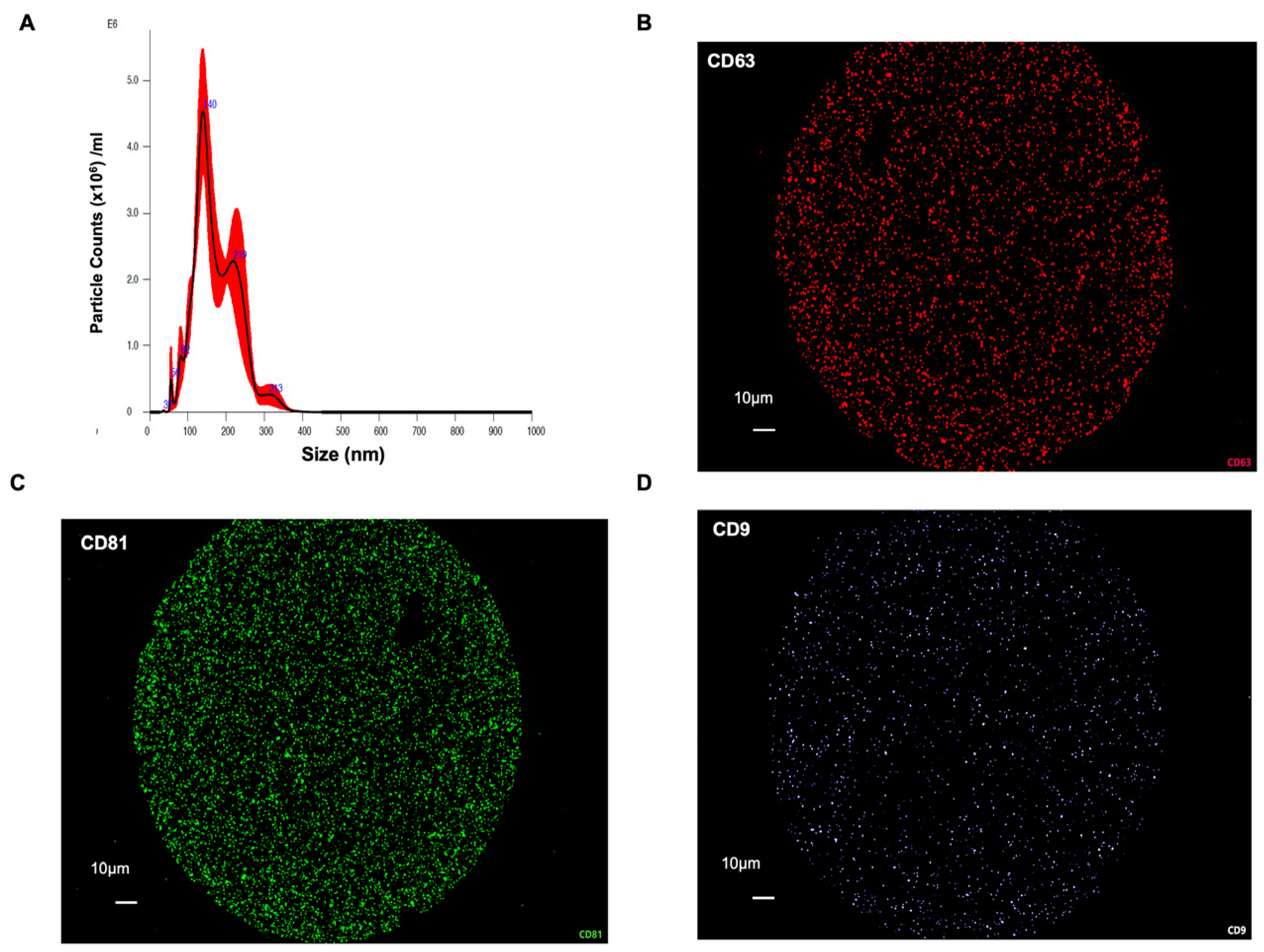 Nutrients 17 02953 g001