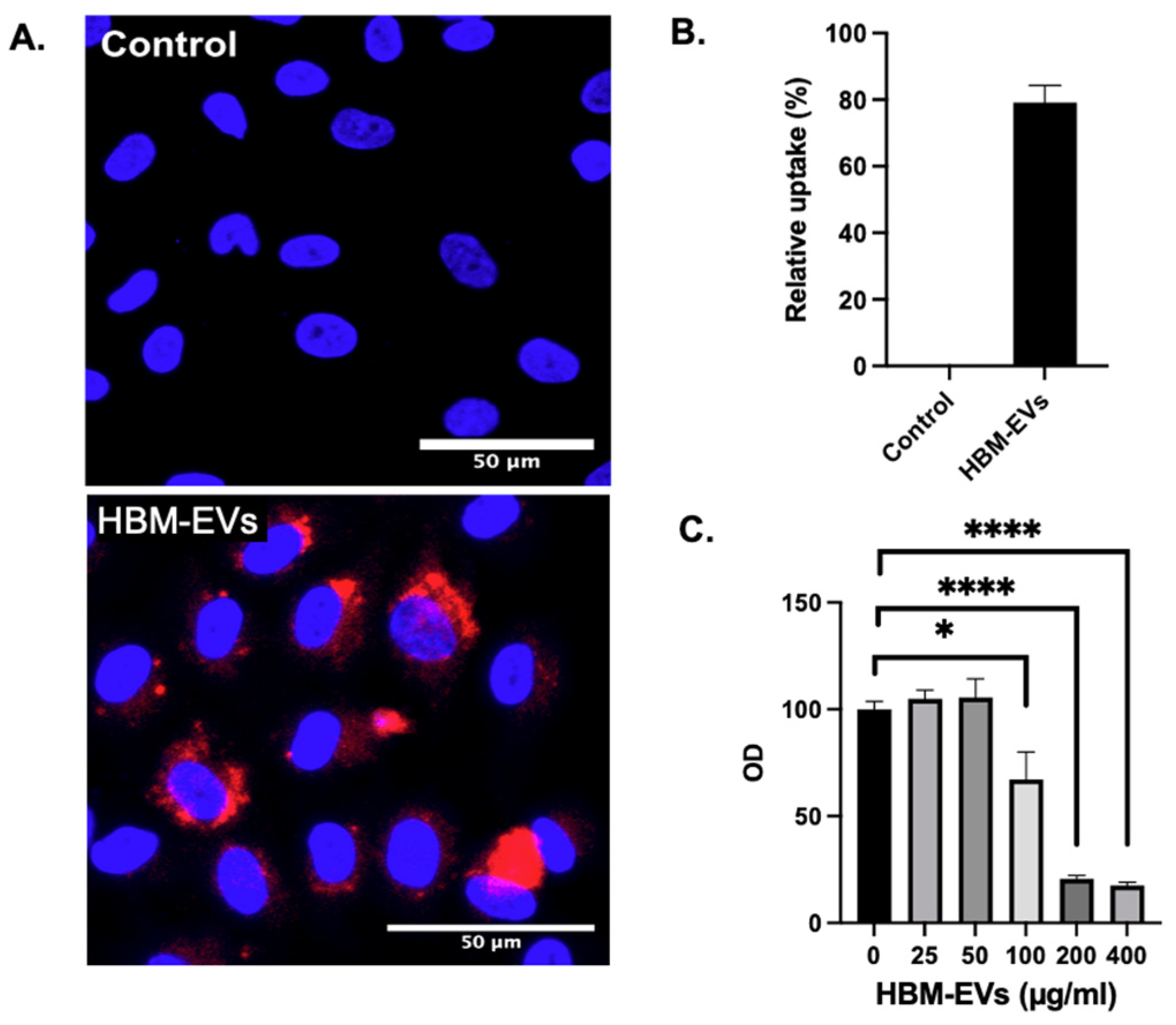 Nutrients 17 02953 g002