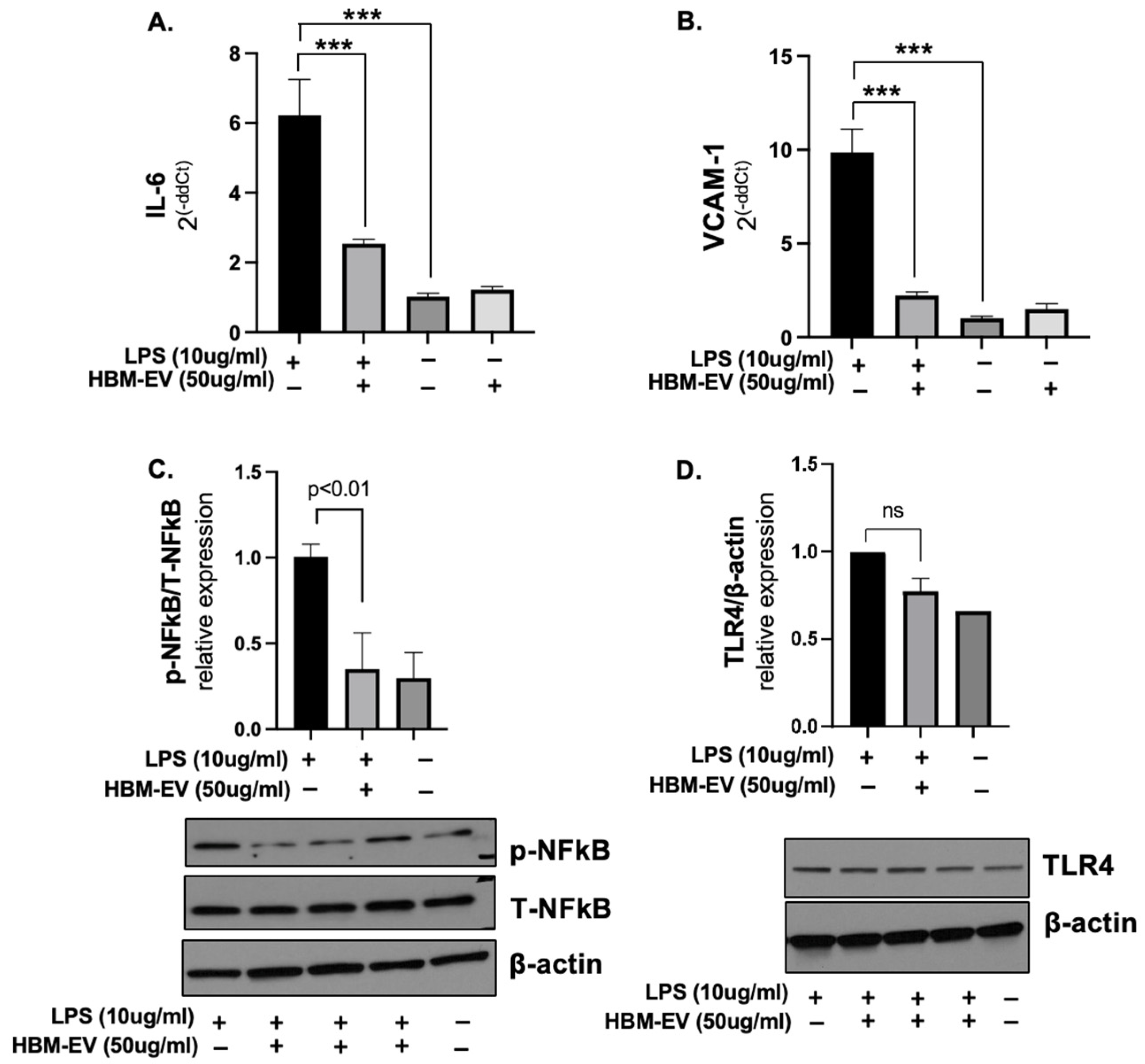 Nutrients 17 02953 g003