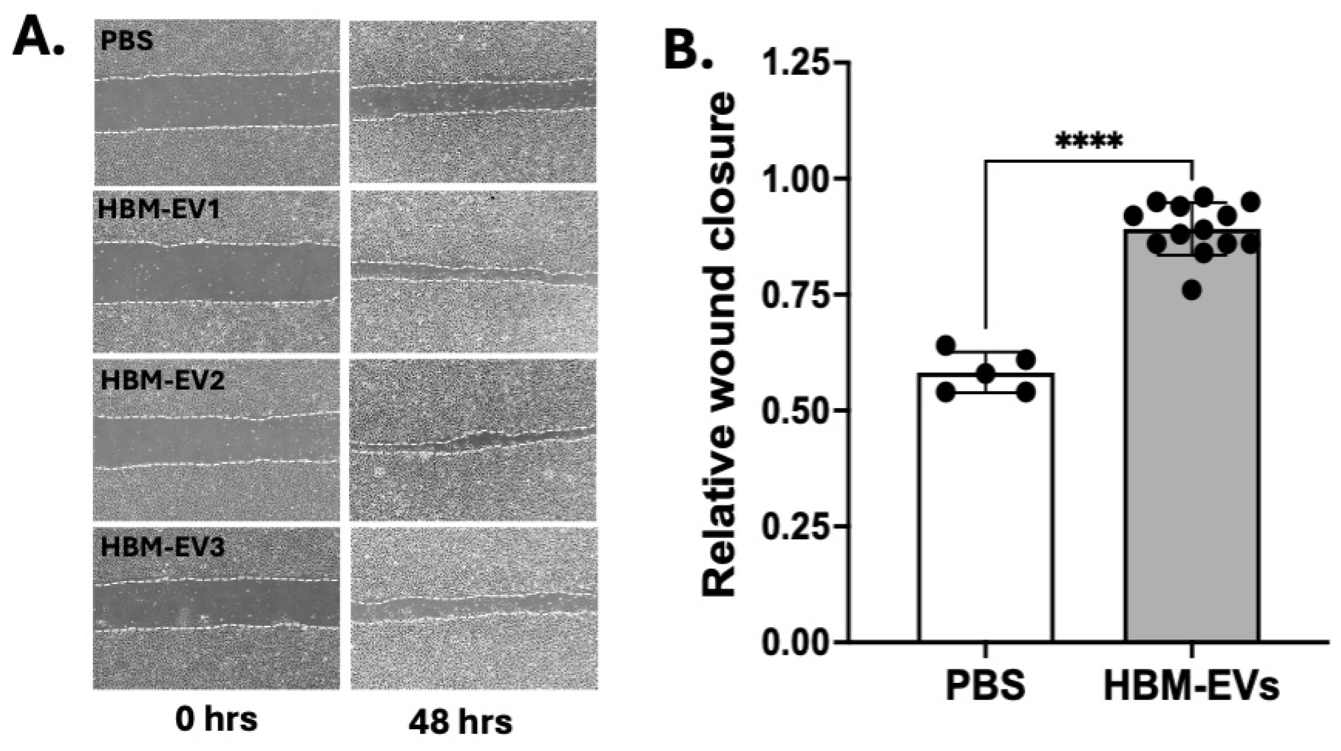 Nutrients 17 02953 g005