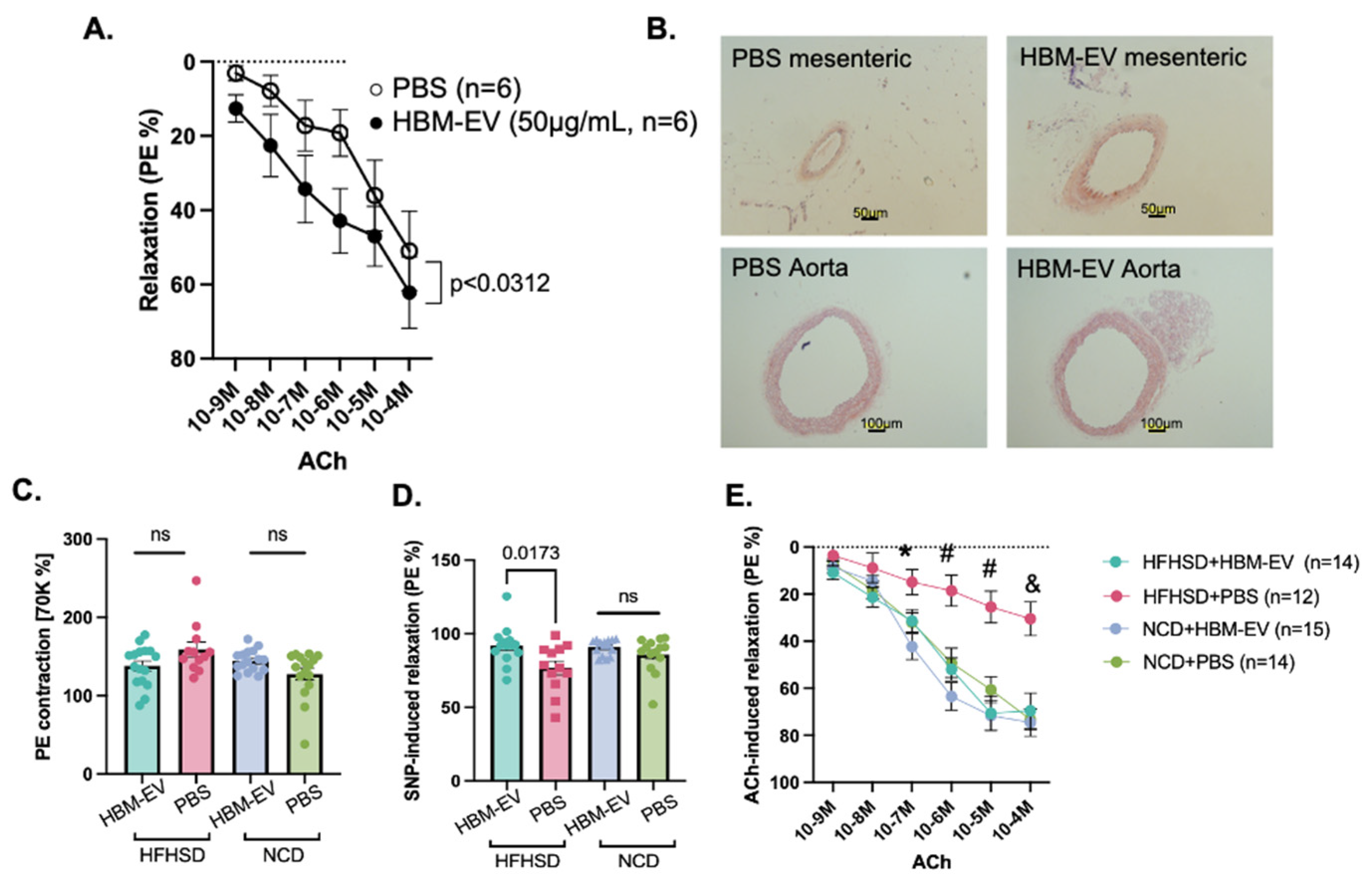 Nutrients 17 02953 g006
