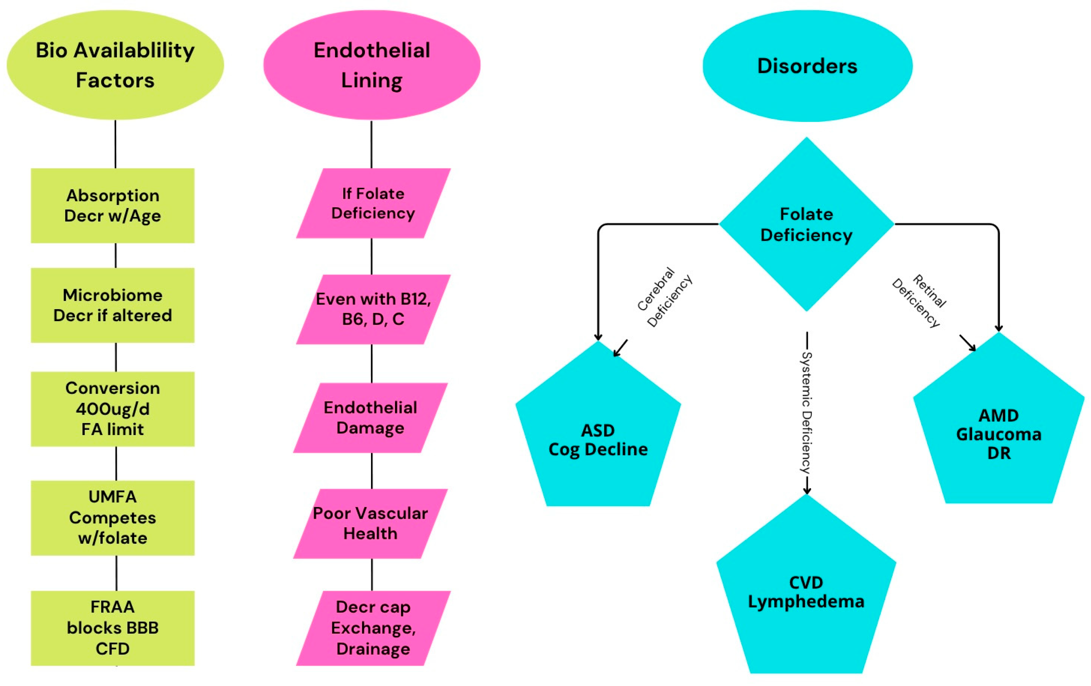 Nutrients 17 02955 g002