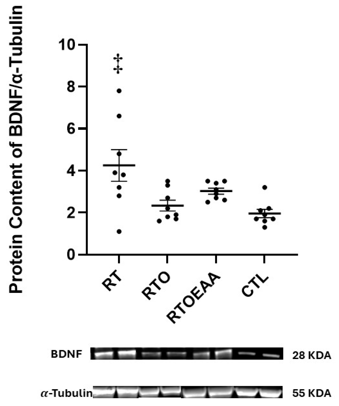 Nutrients 17 02957 g004 Nutrients 17 02957 g004