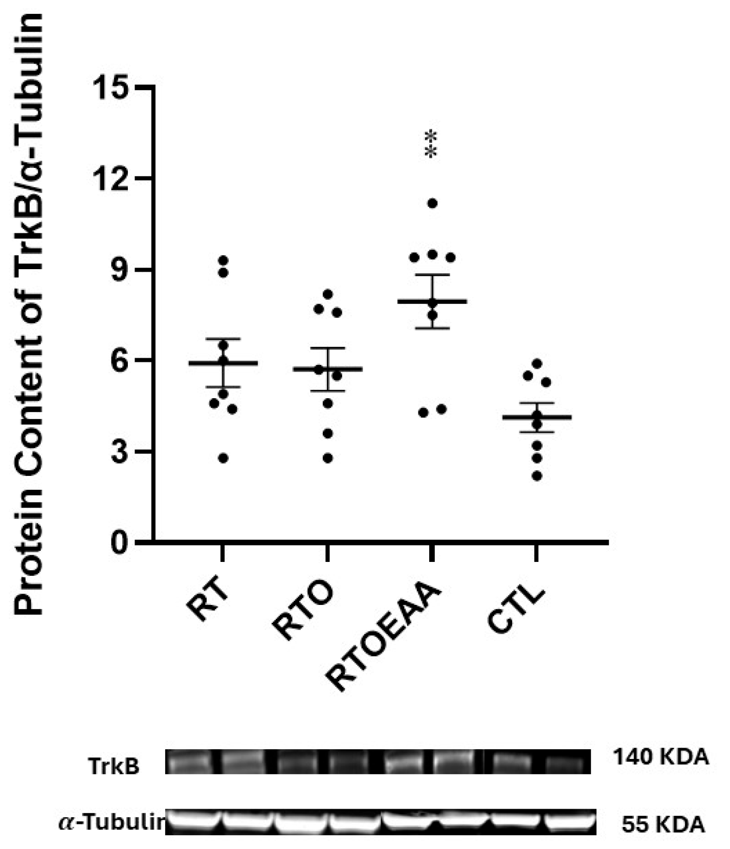 Nutrients 17 02957 g005 Nutrients 17 02957 g005