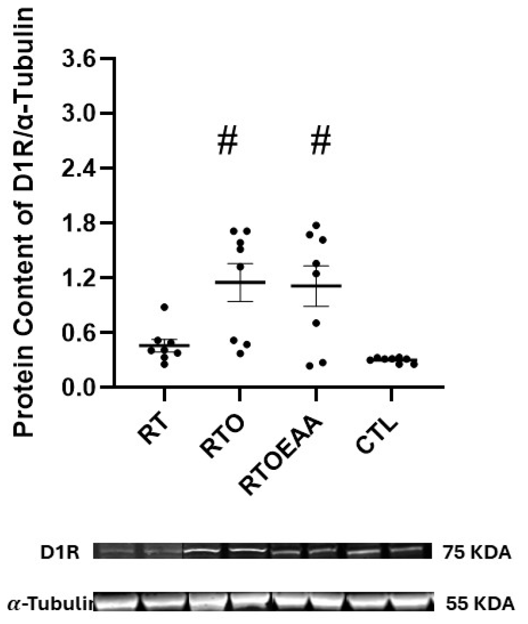 Nutrients 17 02957 g007 Nutrients 17 02957 g007