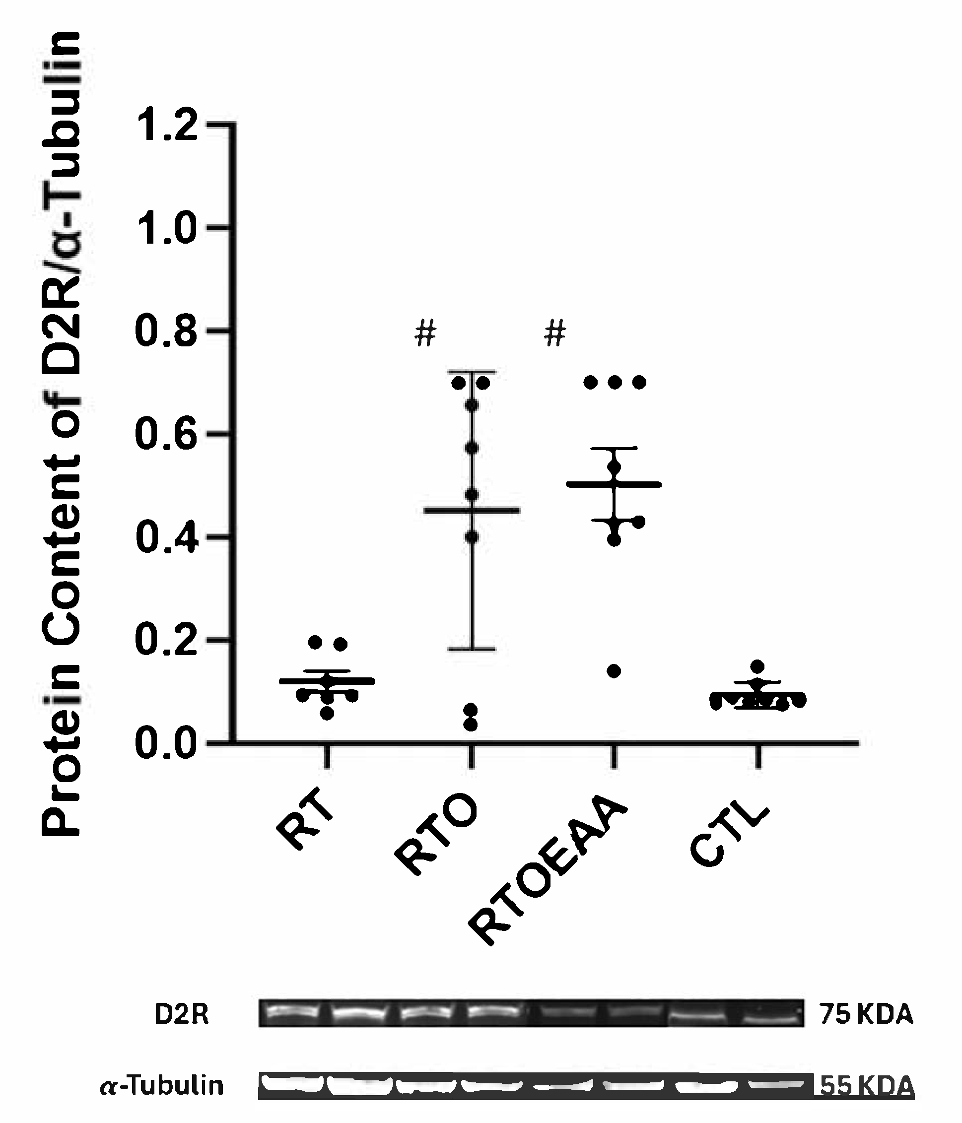 Nutrients 17 02957 g008 Nutrients 17 02957 g008