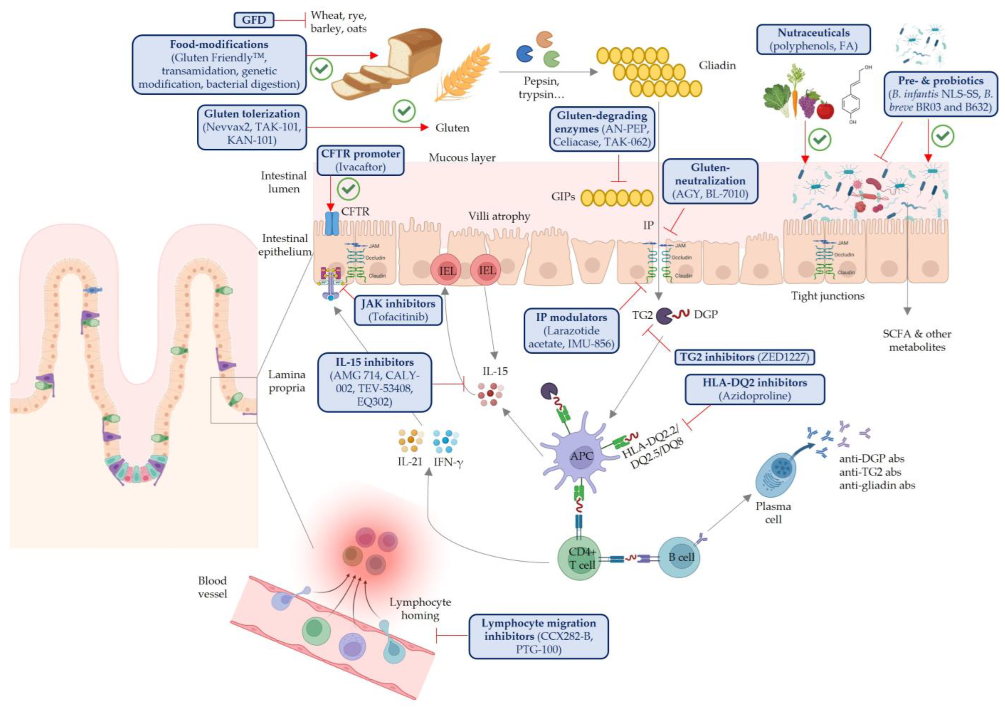 Nutrients 17 02960 g001 Nutrients 17 02960 g001