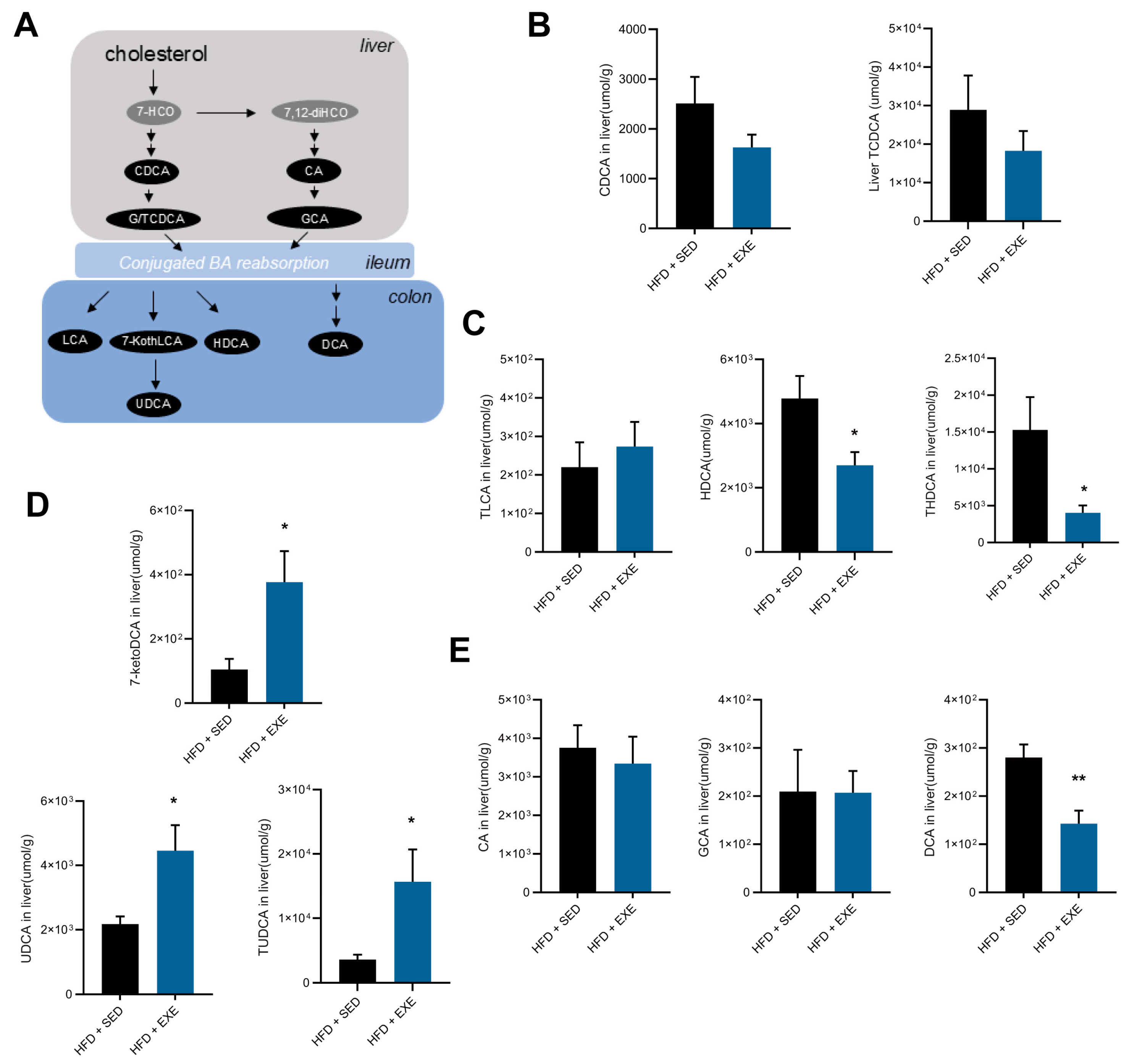 Nutrients 17 02962 g006 Nutrients 17 02962 g006