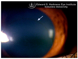 Nutrients 17 02964 i011