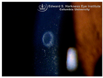 Nutrients 17 02964 i014