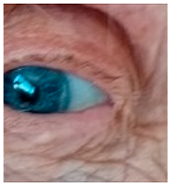 Nutrients 17 02964 i018