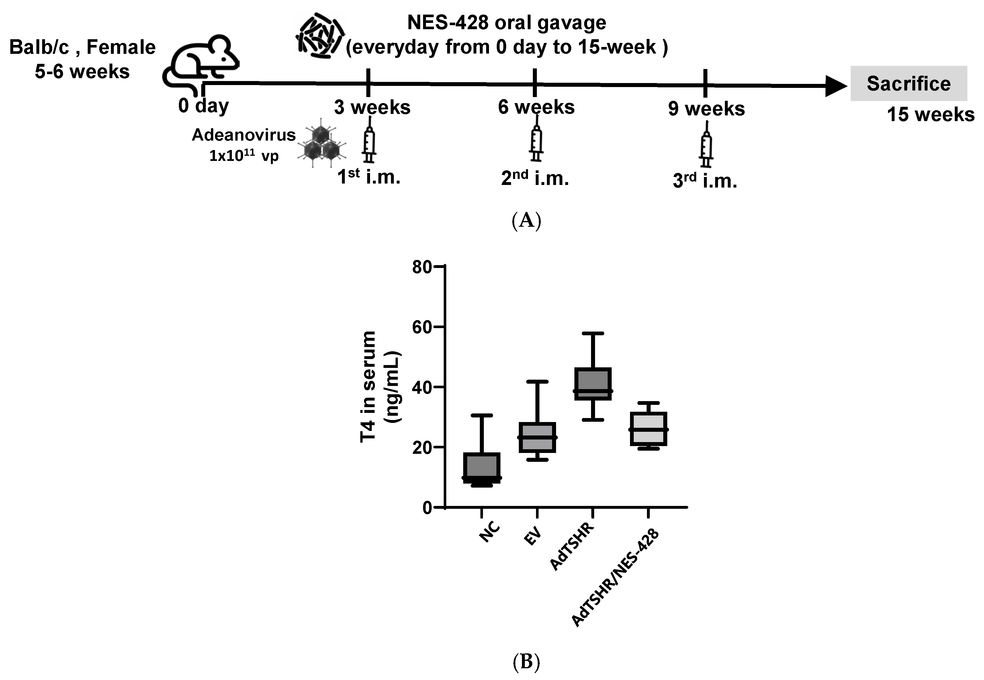 Nutrients 17 02967 g005