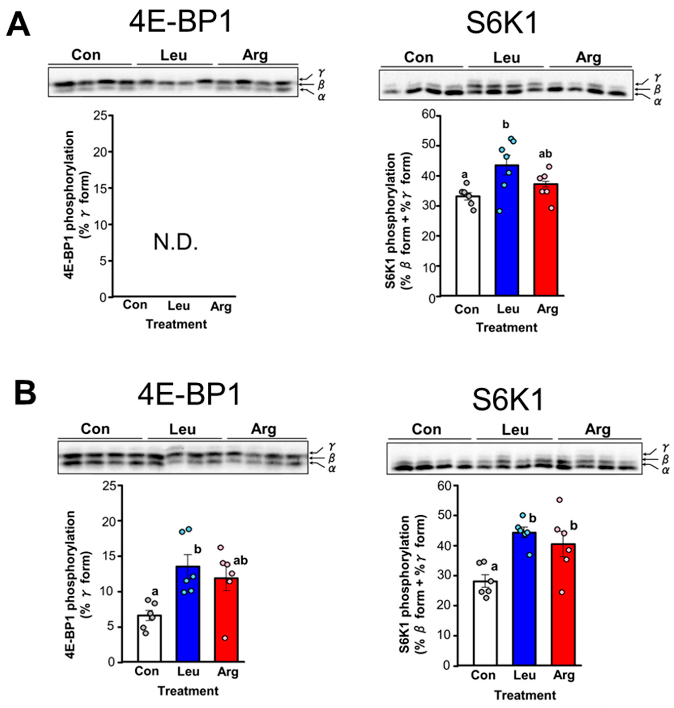 Nutrients 17 02981 g001 Nutrients 17 02981 g001