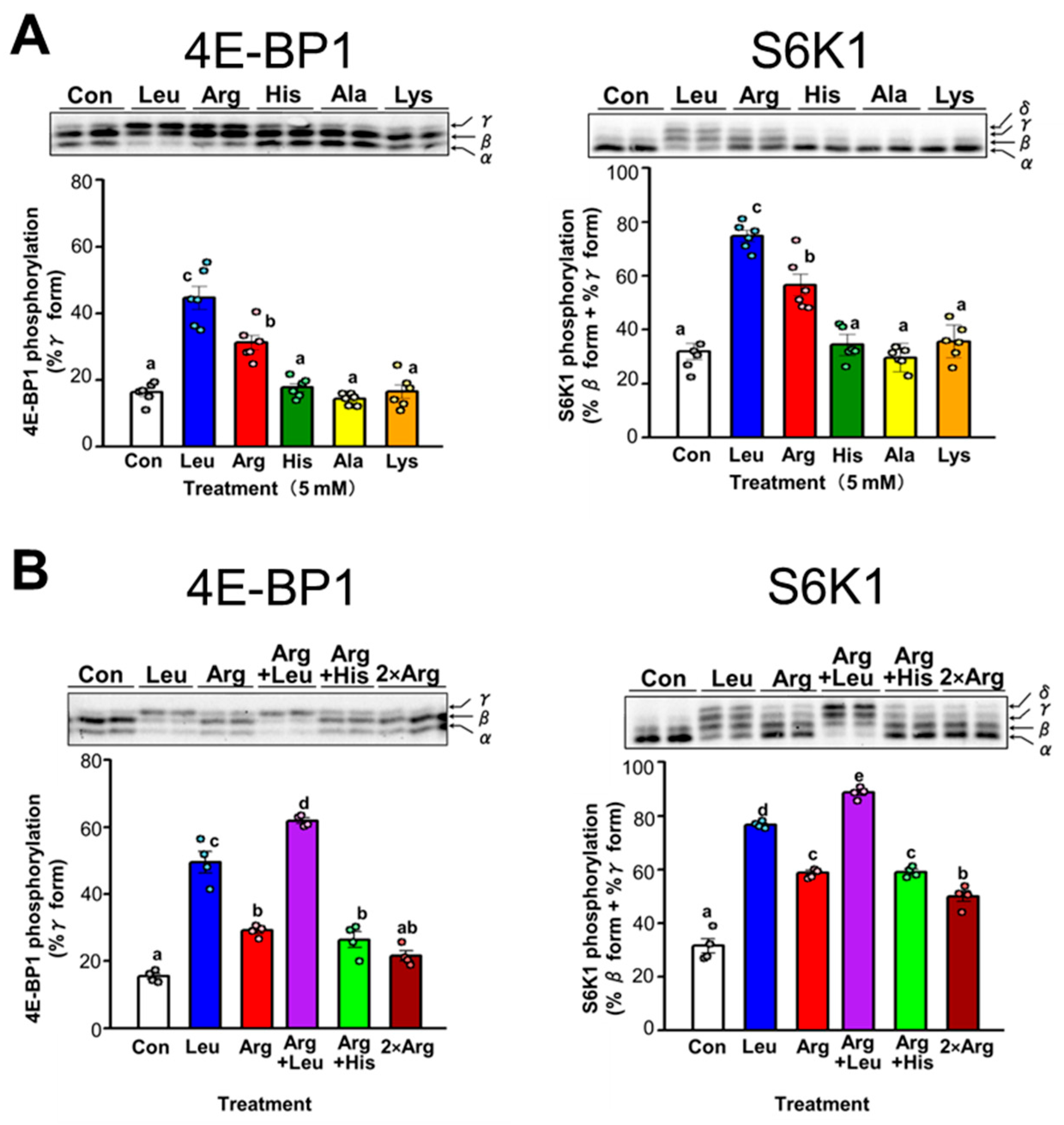 Nutrients 17 02981 g003 Nutrients 17 02981 g003