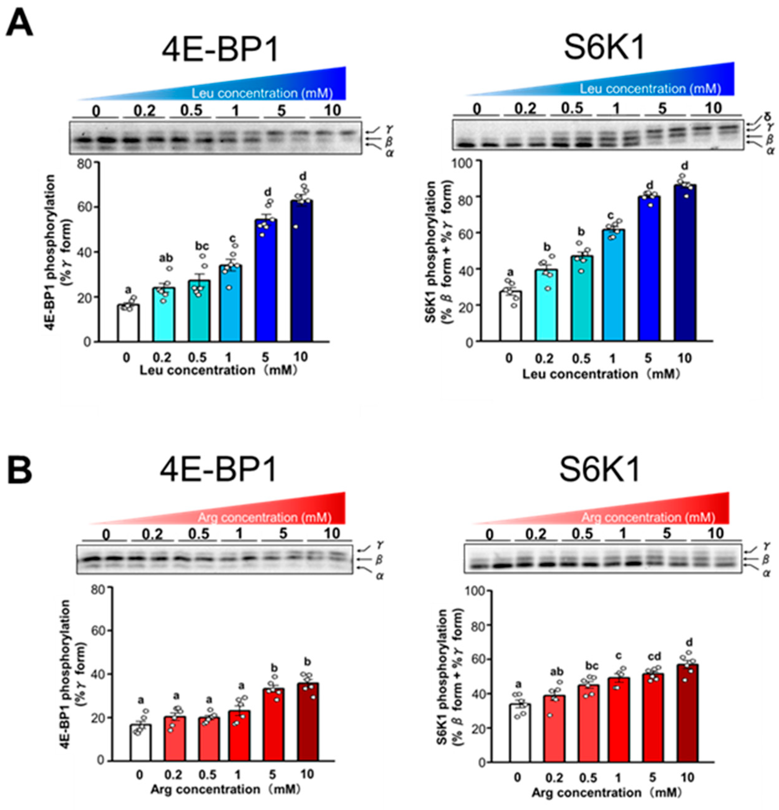Nutrients 17 02981 g004a Nutrients 17 02981 g004a