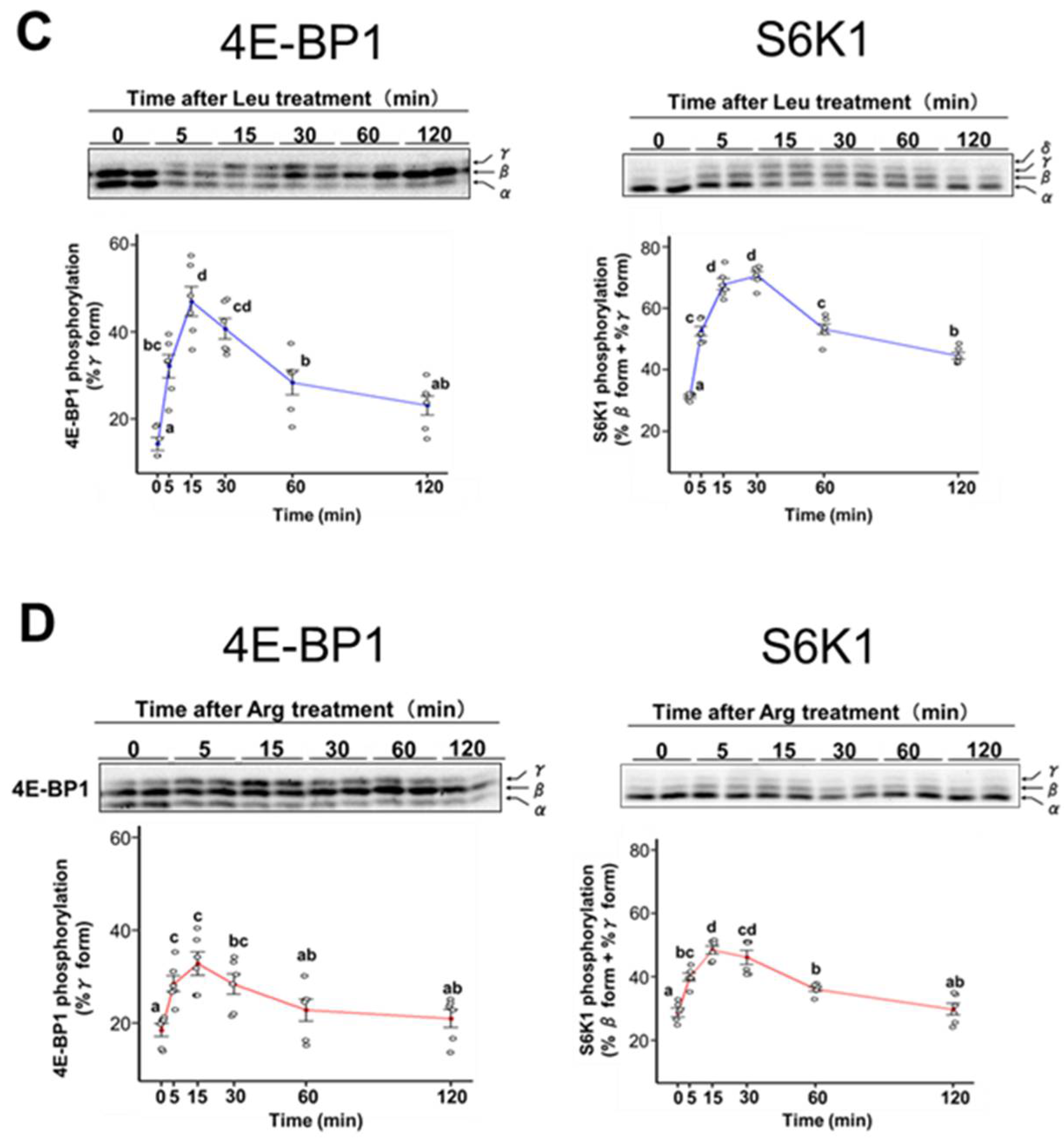 Nutrients 17 02981 g004b Nutrients 17 02981 g004b