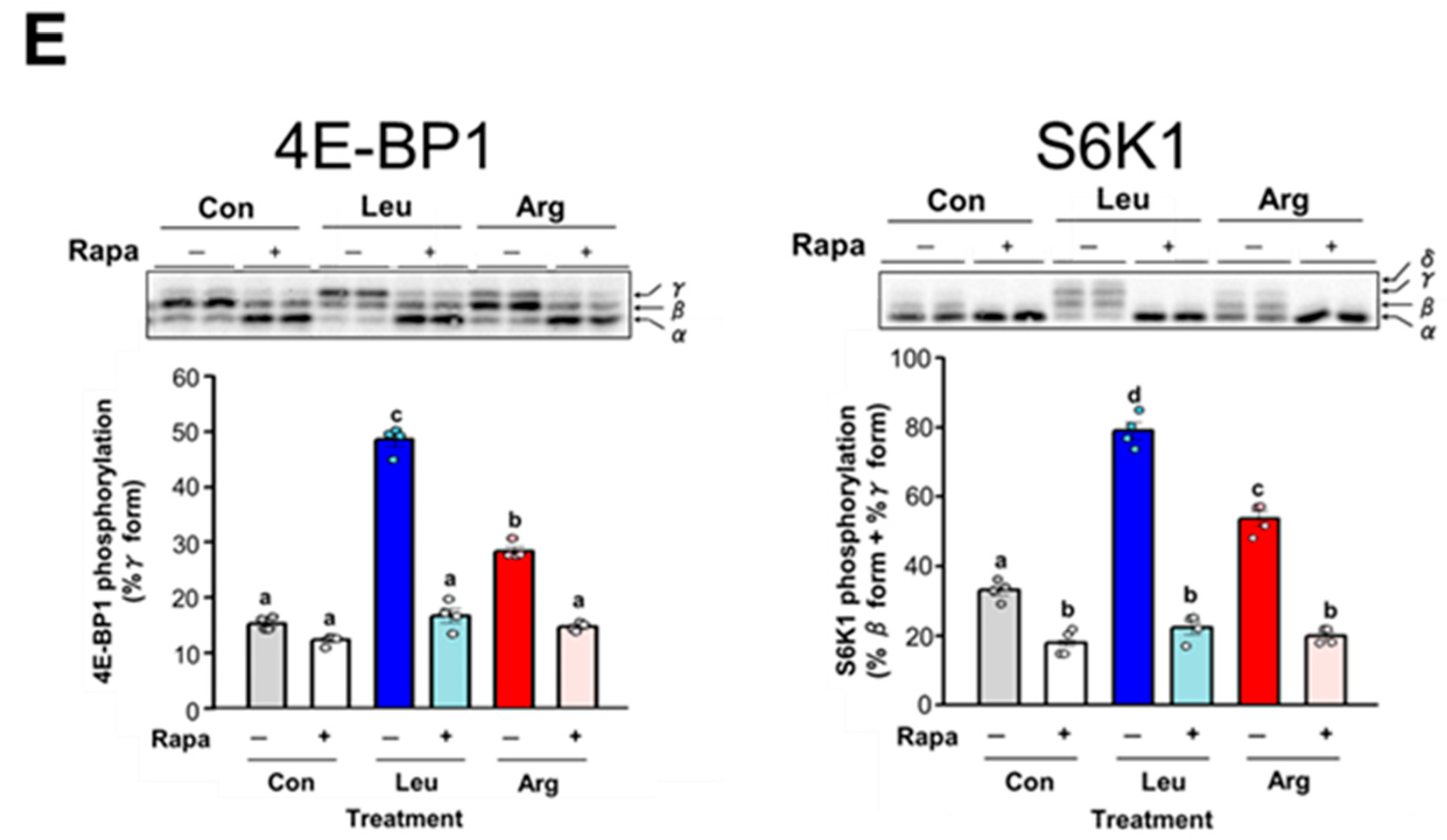 Nutrients 17 02981 g004c Nutrients 17 02981 g004c