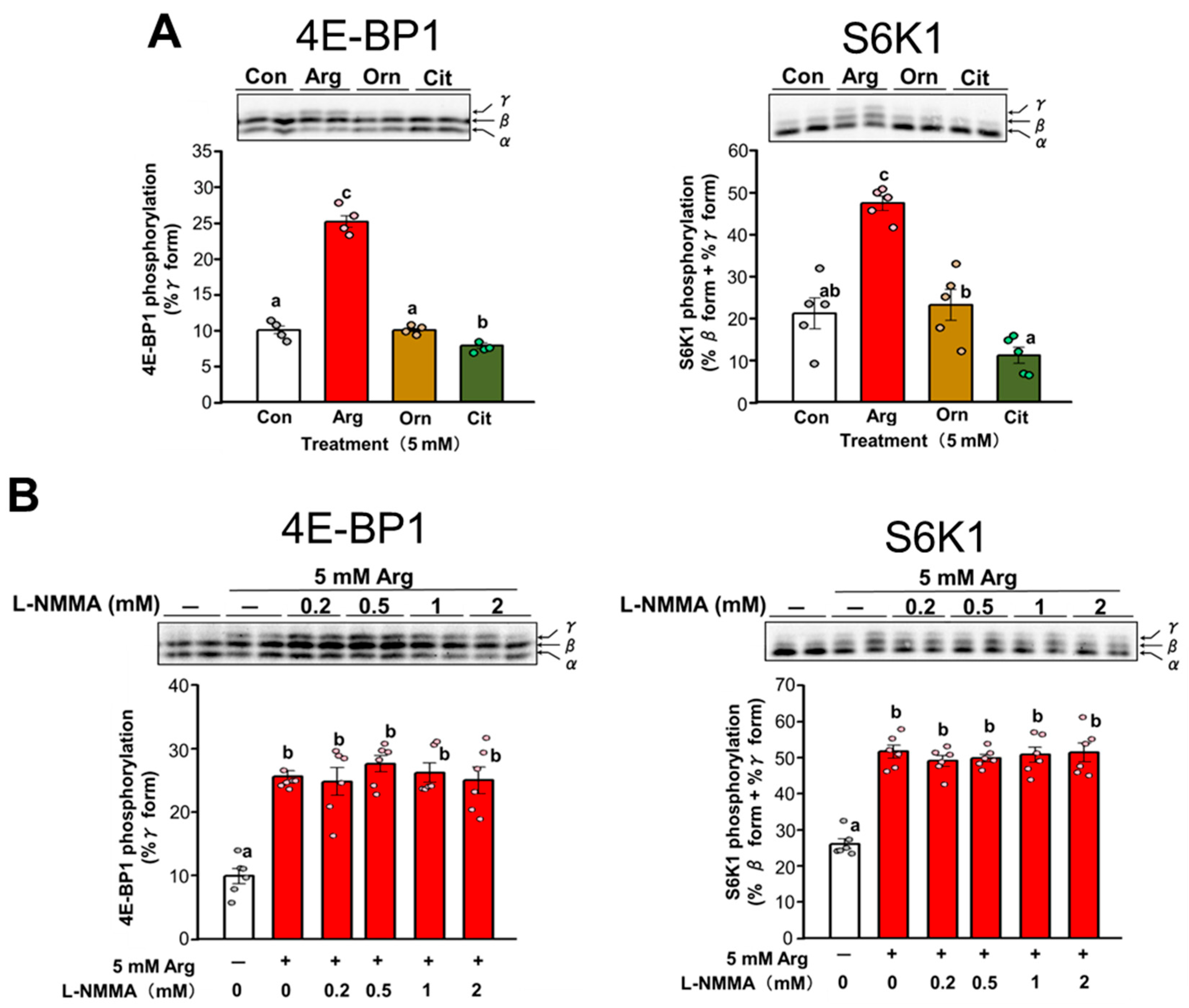 Nutrients 17 02981 g005 Nutrients 17 02981 g005