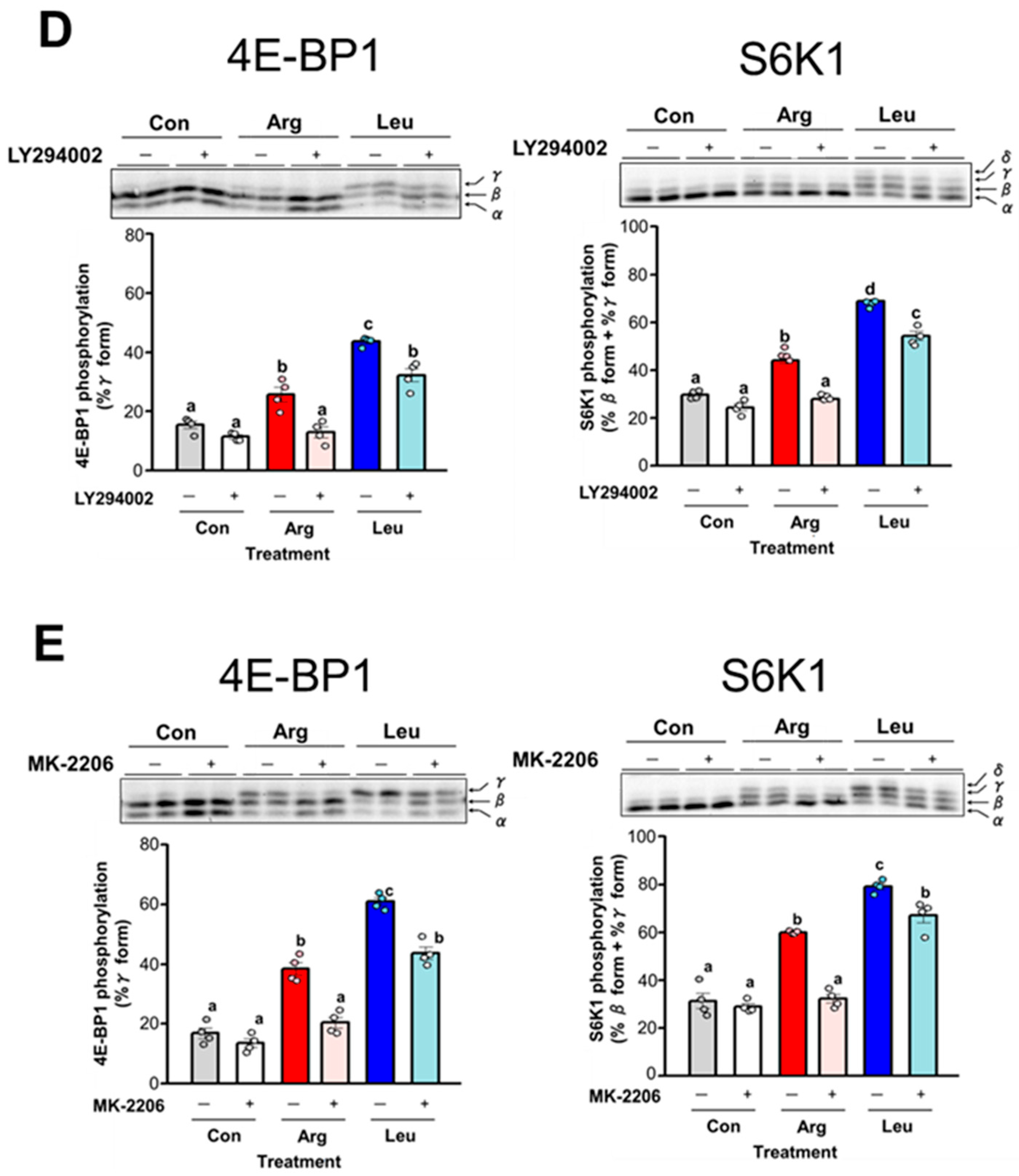 Nutrients 17 02981 g006c Nutrients 17 02981 g006c
