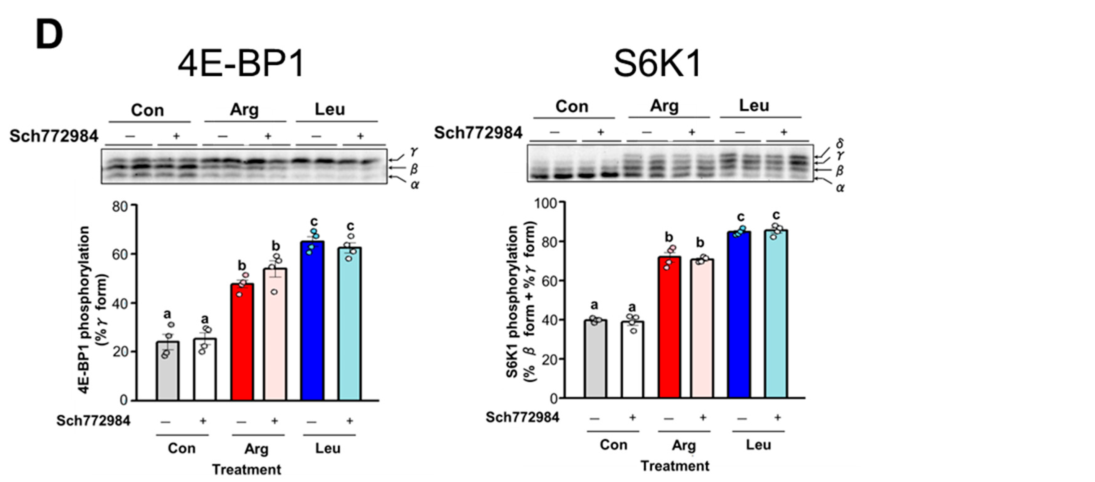 Nutrients 17 02981 g007b Nutrients 17 02981 g007b