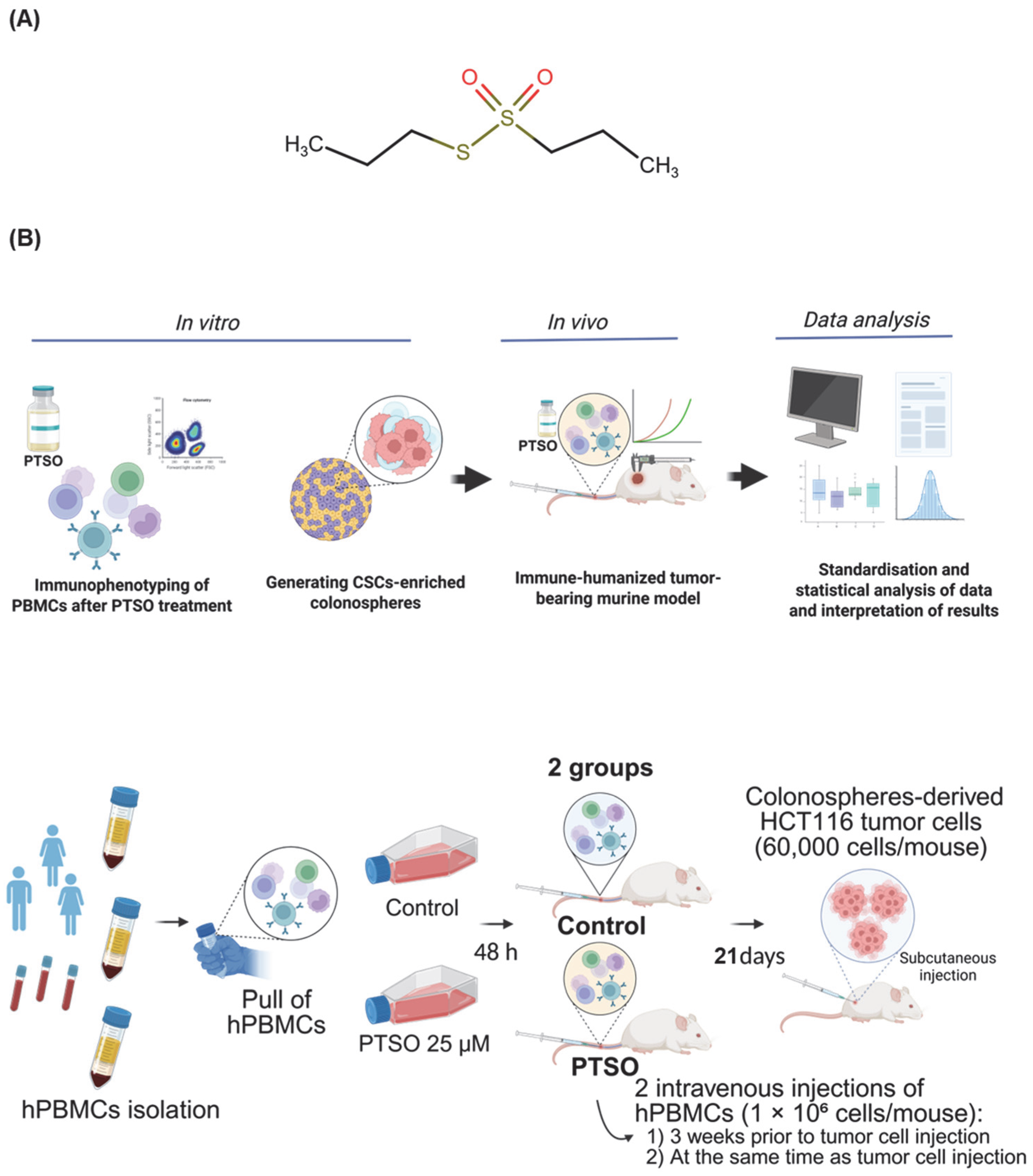 Nutrients 17 02993 g001