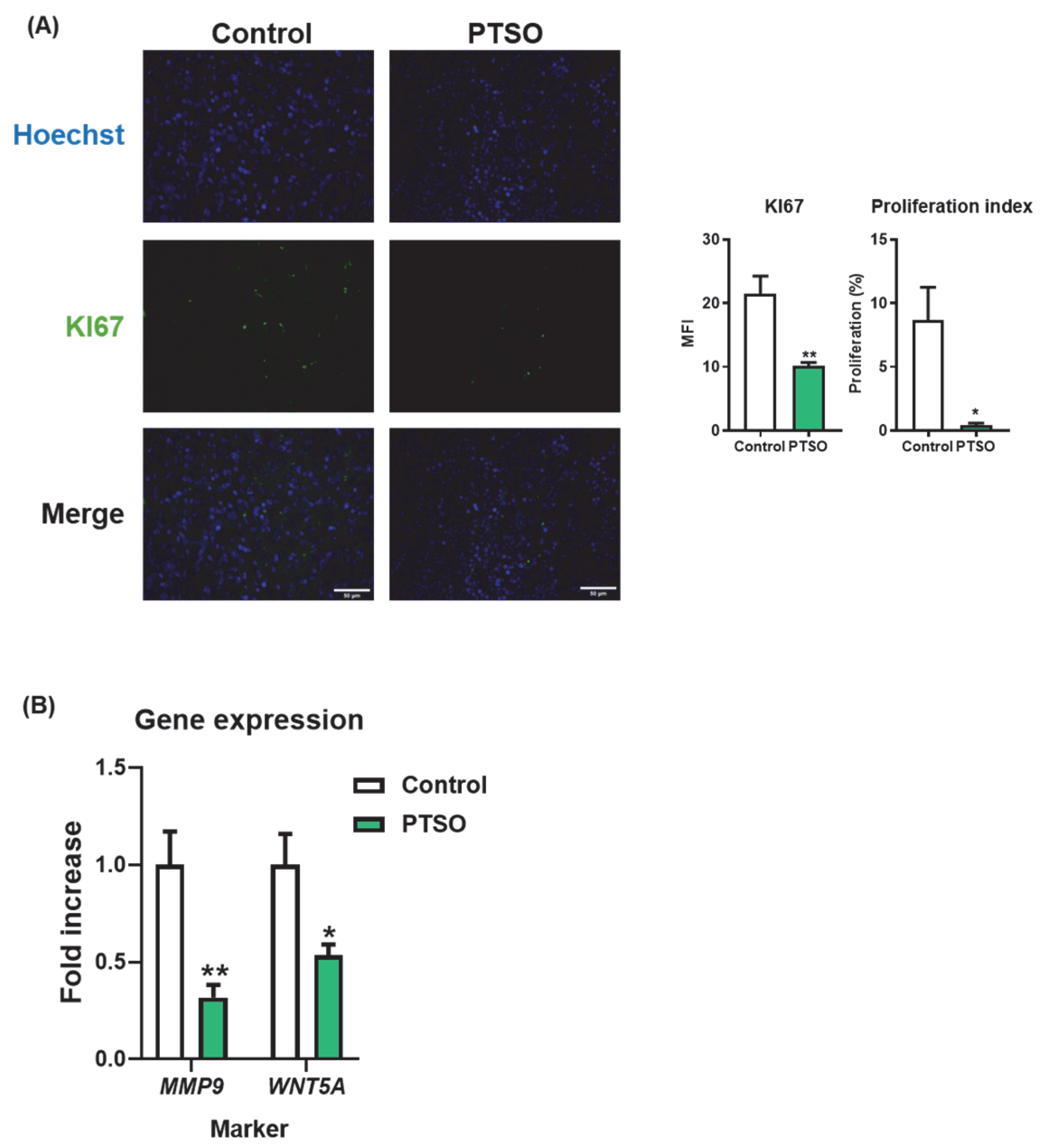 Nutrients 17 02993 g005