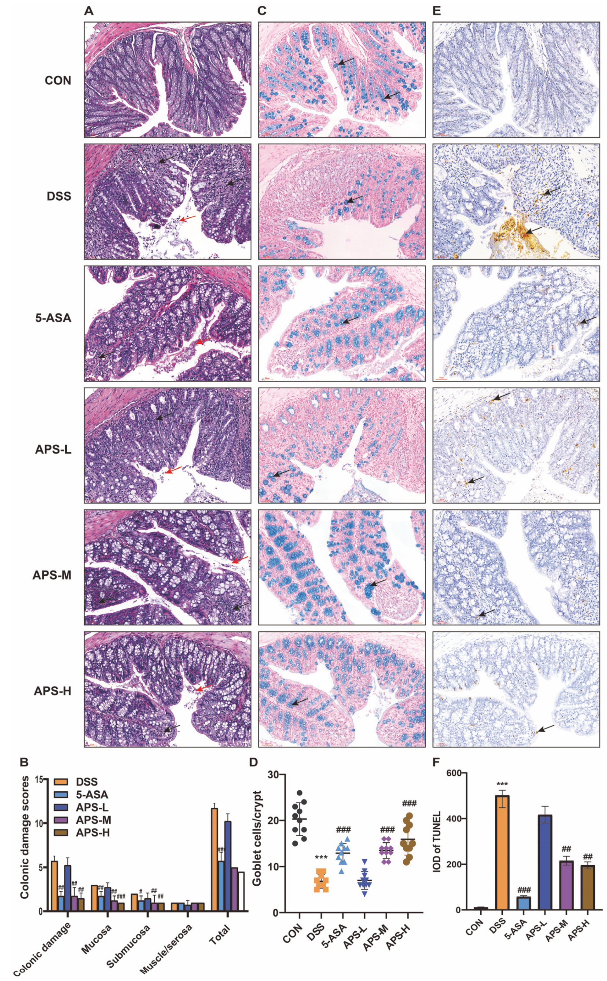 Nutrients 17 03001 g002