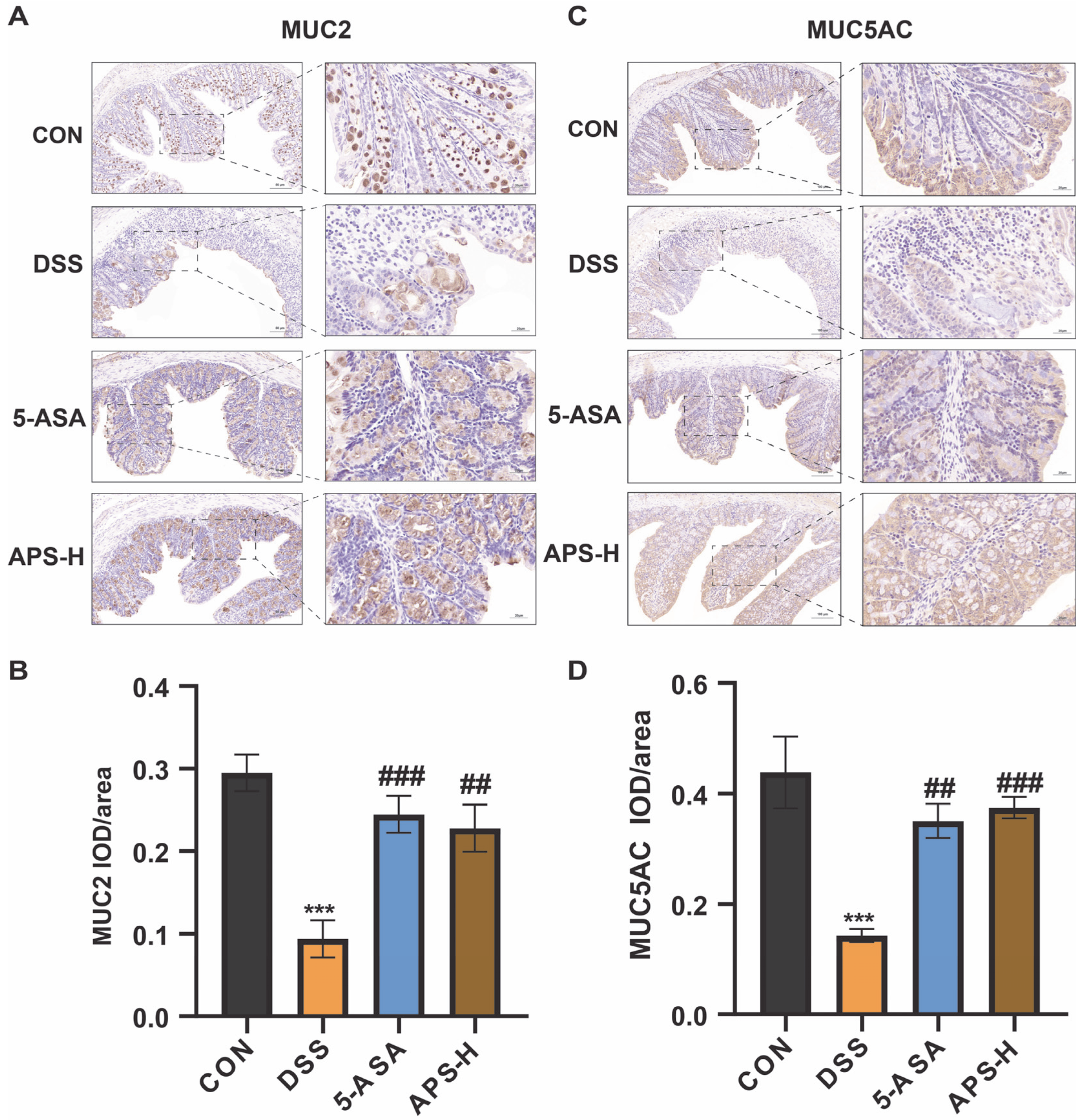 Nutrients 17 03001 g004